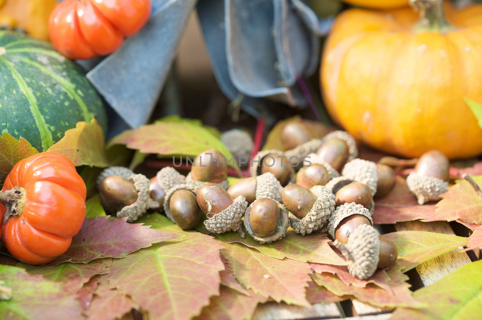 Halloween garden decorations by Fotosmurf