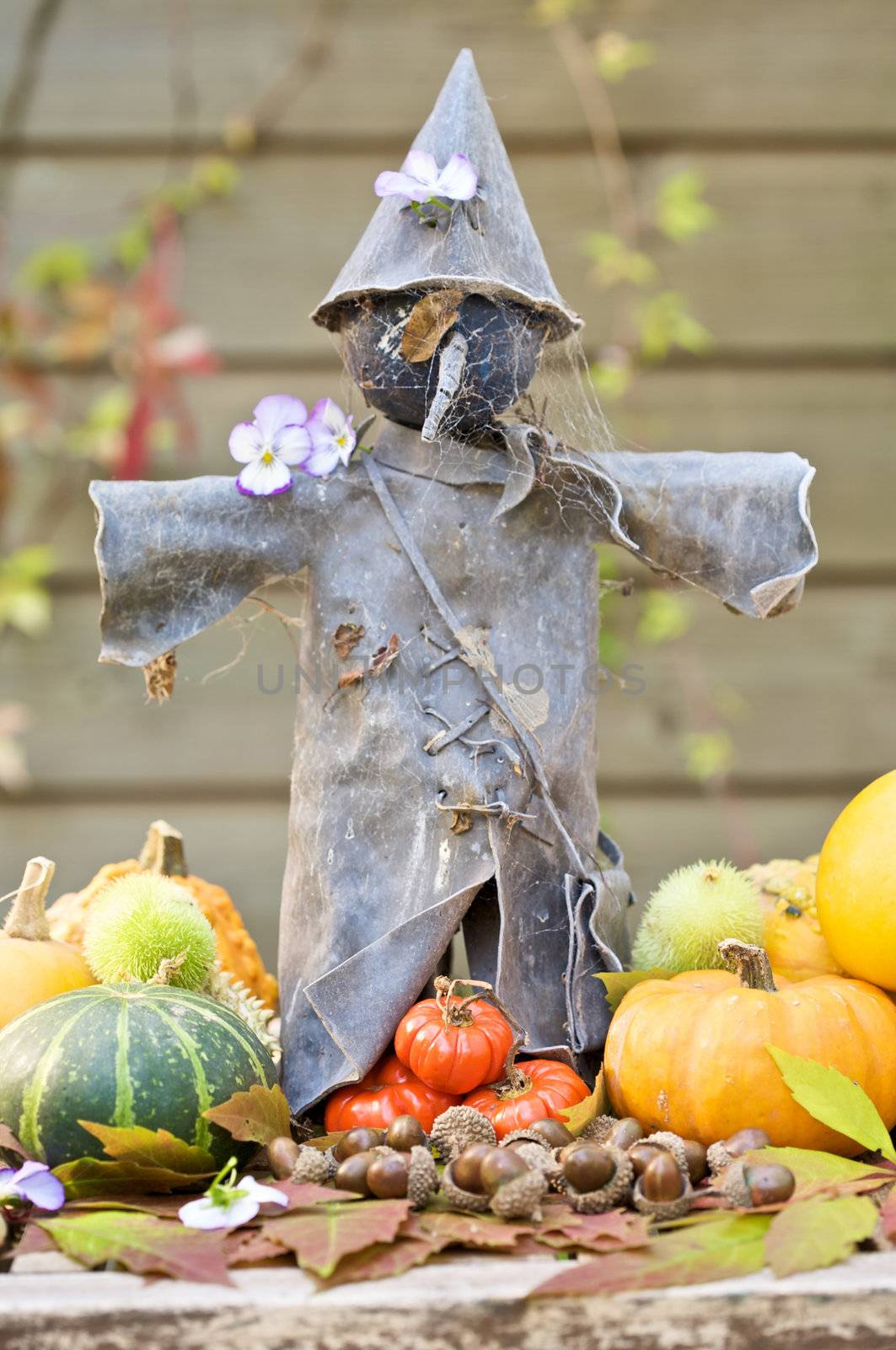 Tin scarecrow surrounded by pumpkins and fall leaves