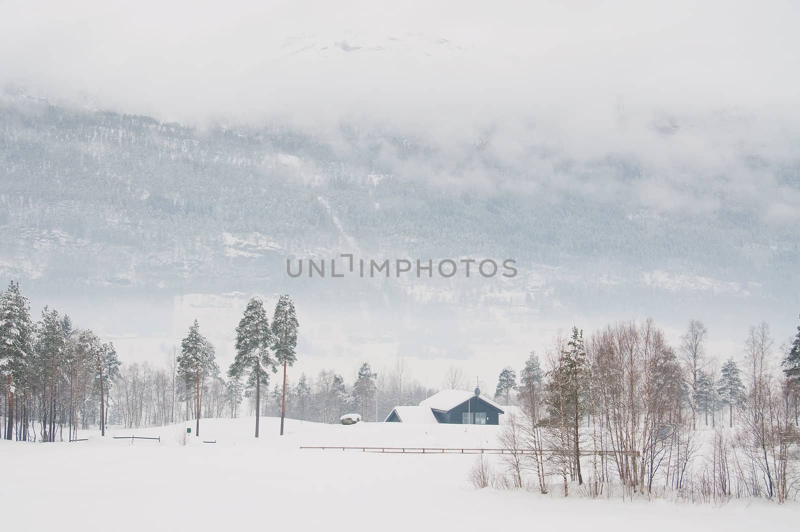 A small house in the mountains.  Winter, trees, snow and fog