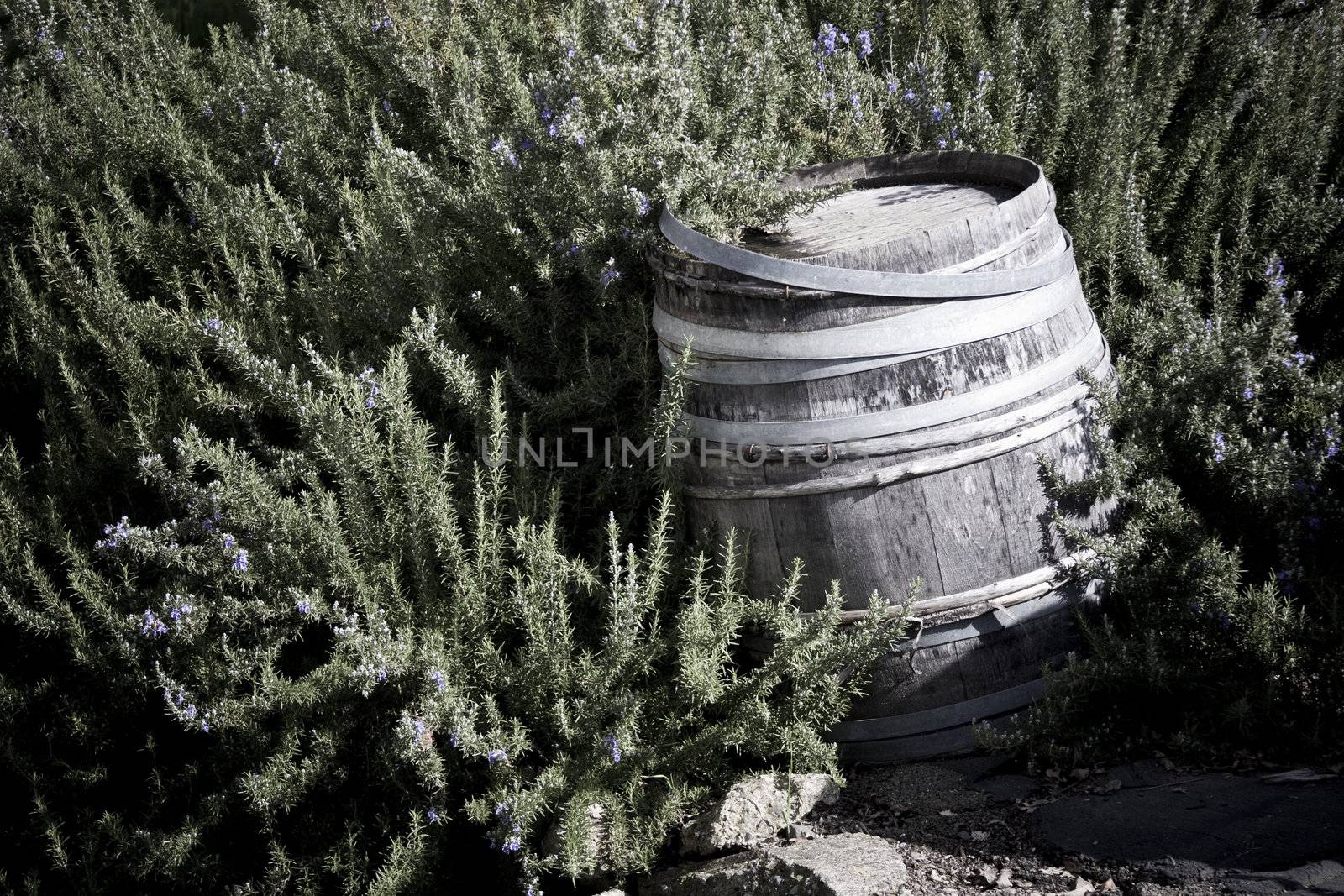 Old wooden wine barrel left exposed to the elements outside
