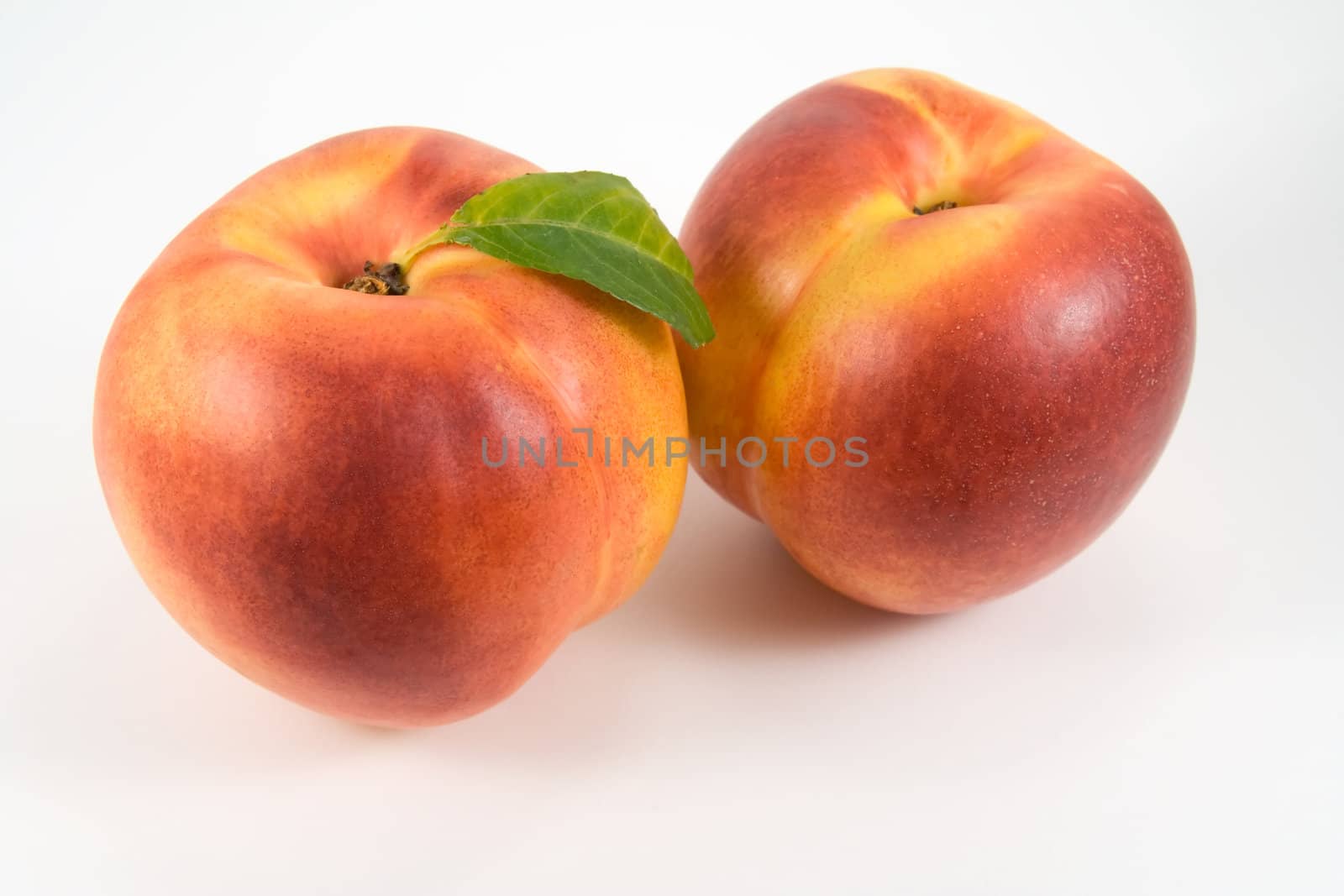 Two ripe nectarines