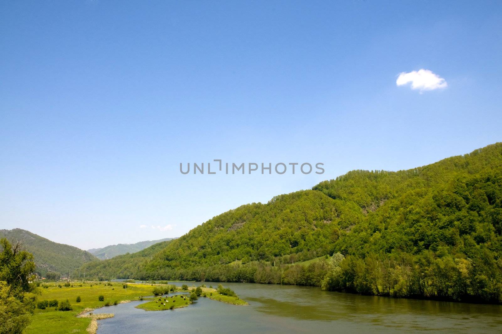 towards the carpathians, in western romania