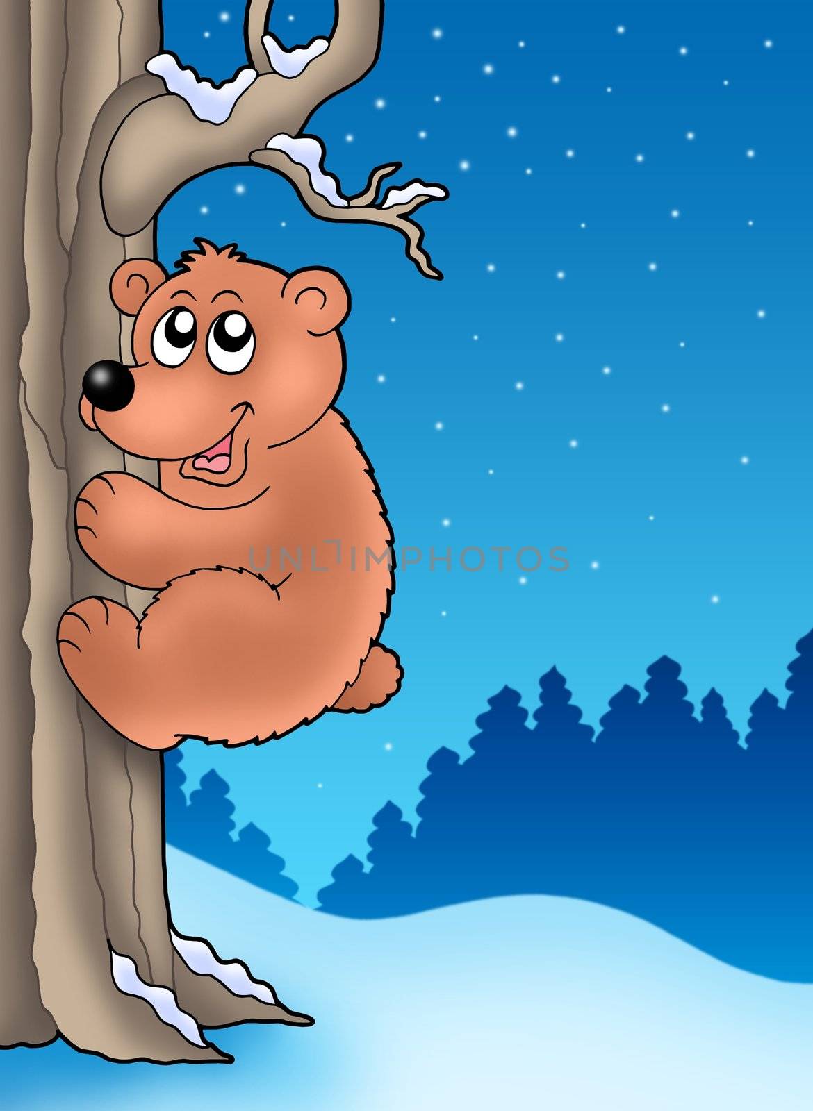 Cute bear climbing tree - color illustration.