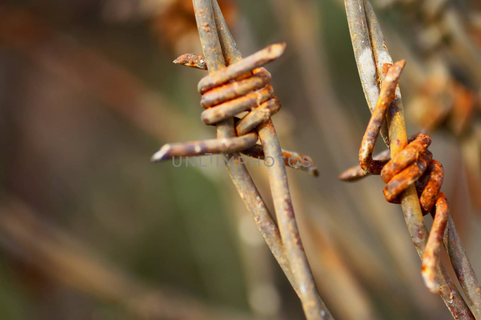 Barbed wire 