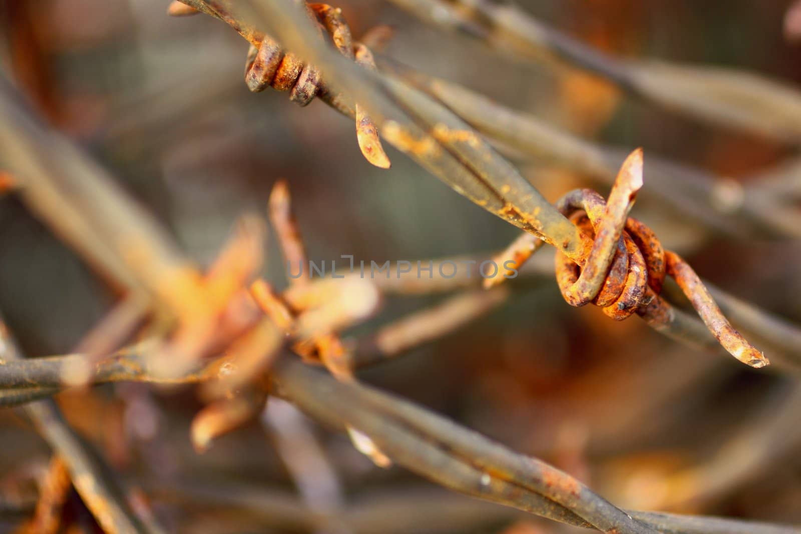 Close-up of old rusty Barbed wire