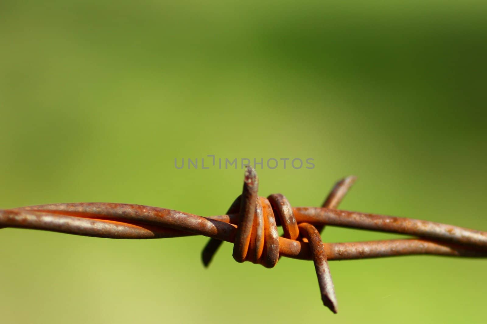 Barbed wire 