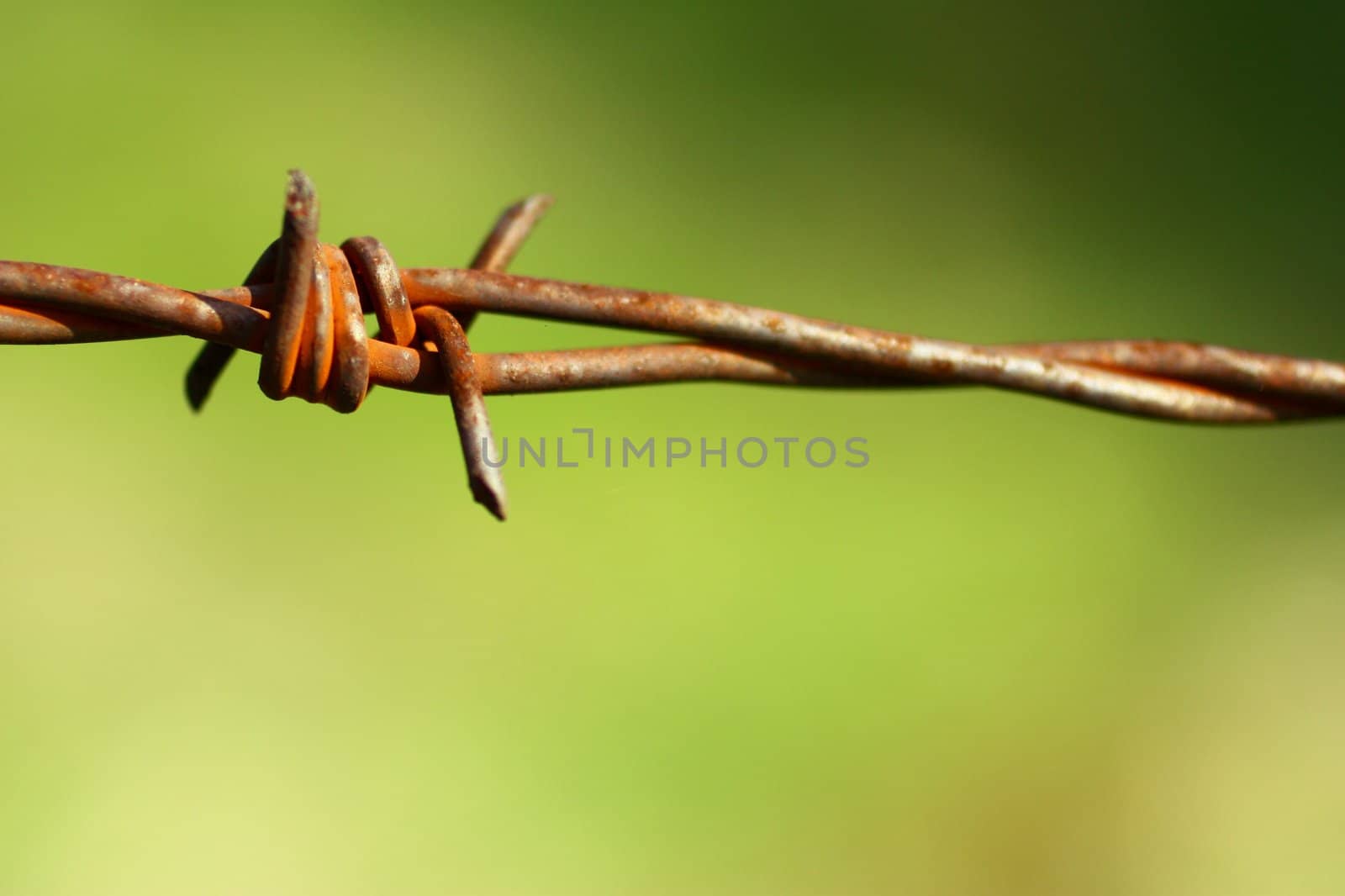 Barbed wire 