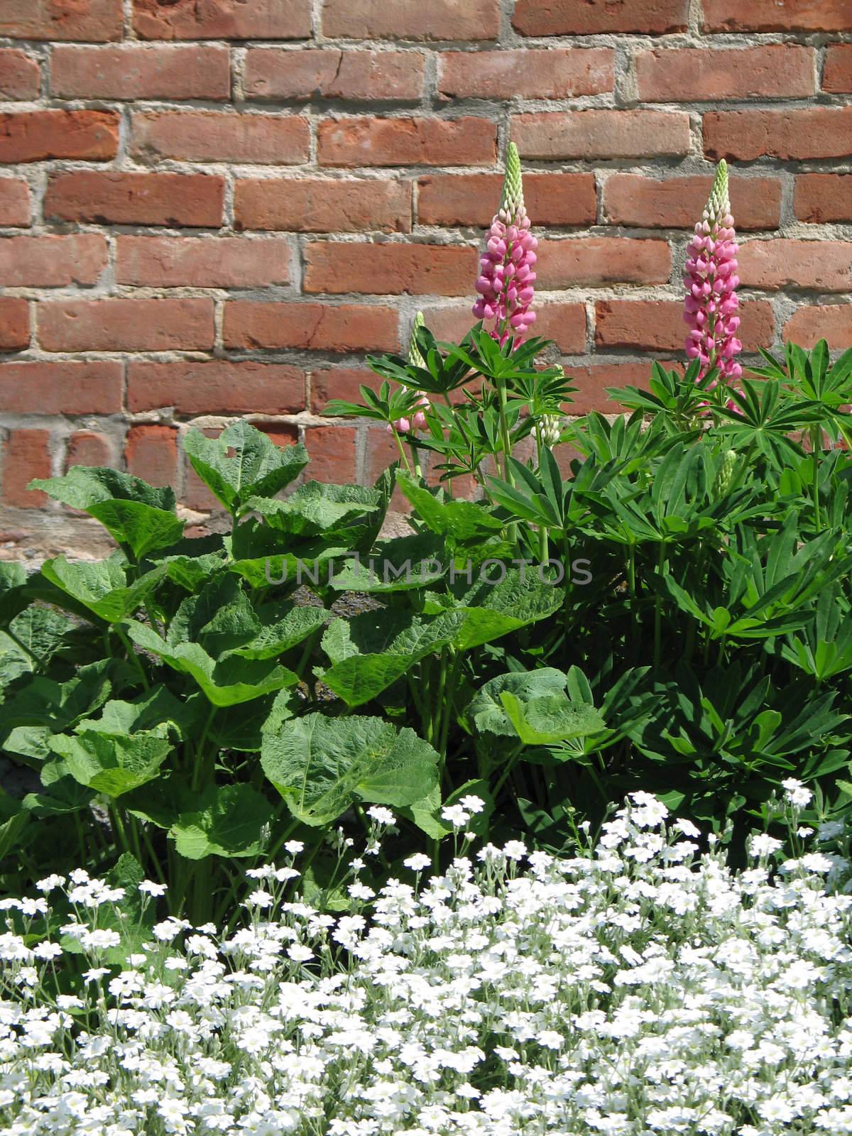 greenery against a brick wall