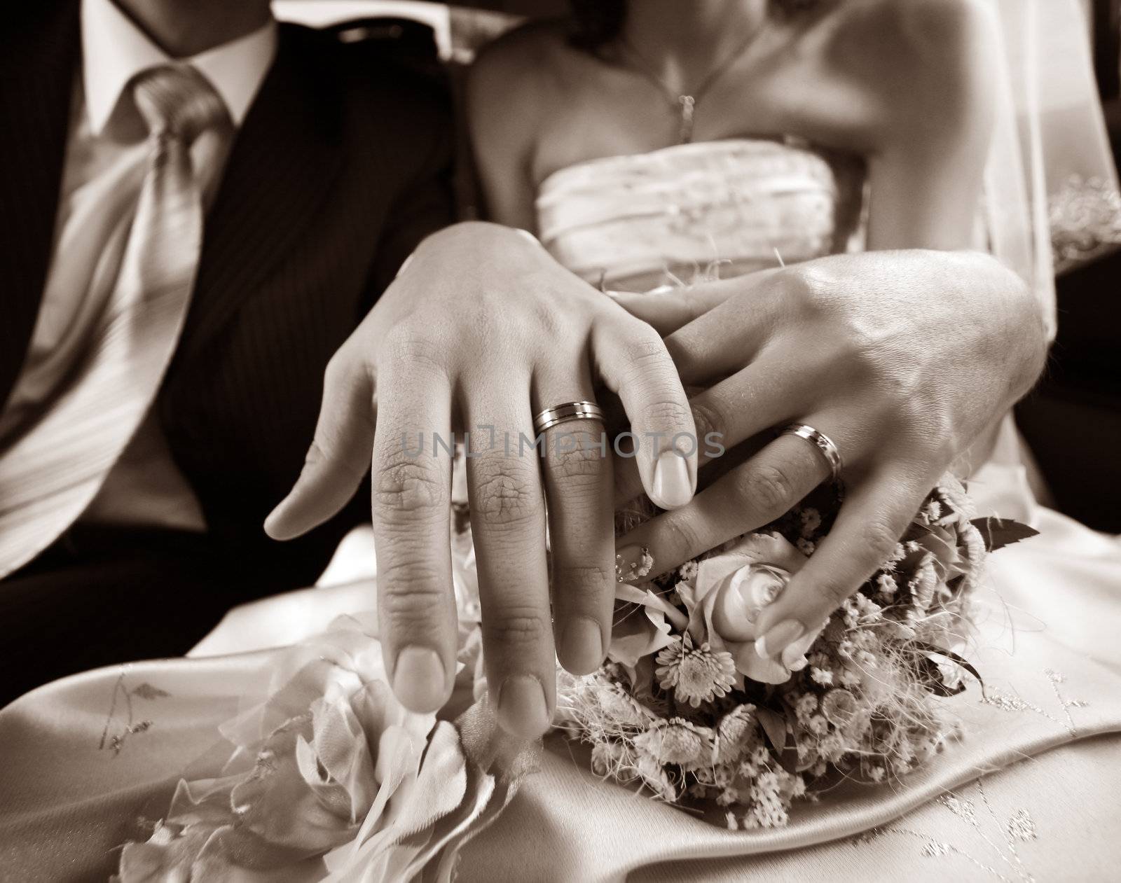 Hand of the groom and the bride with wedding rings