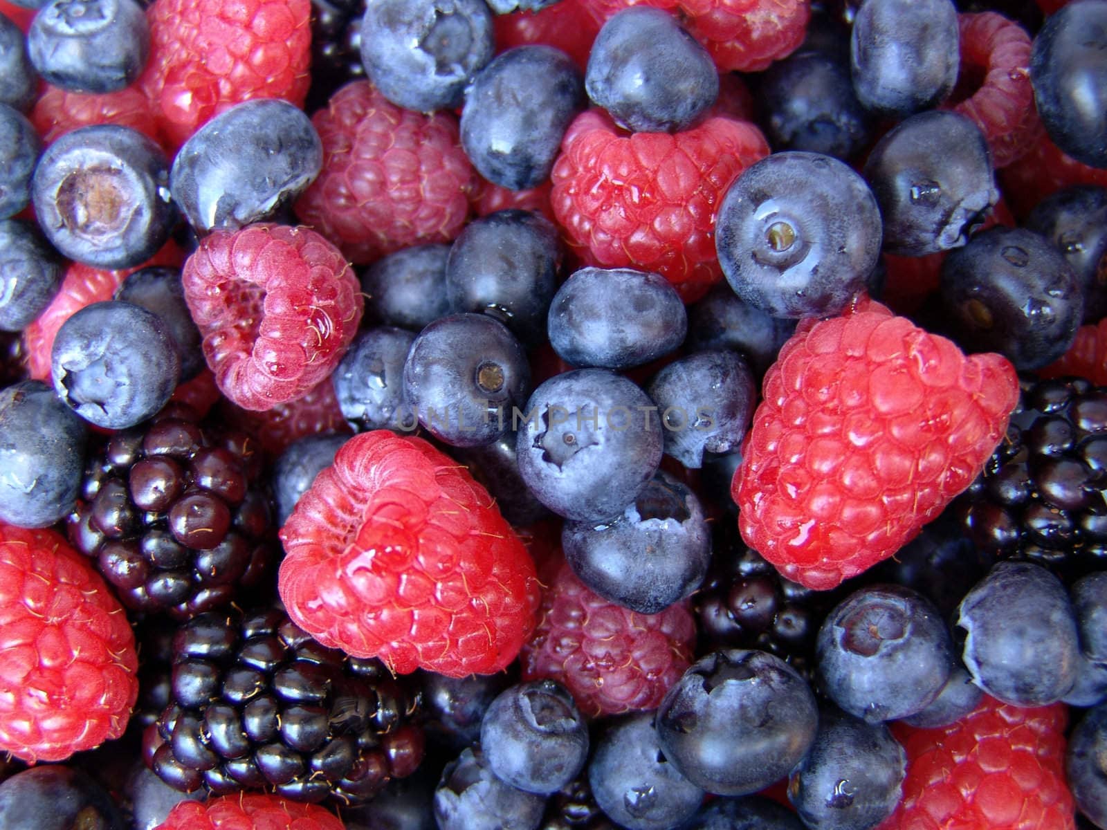 Close up on mixed berries
