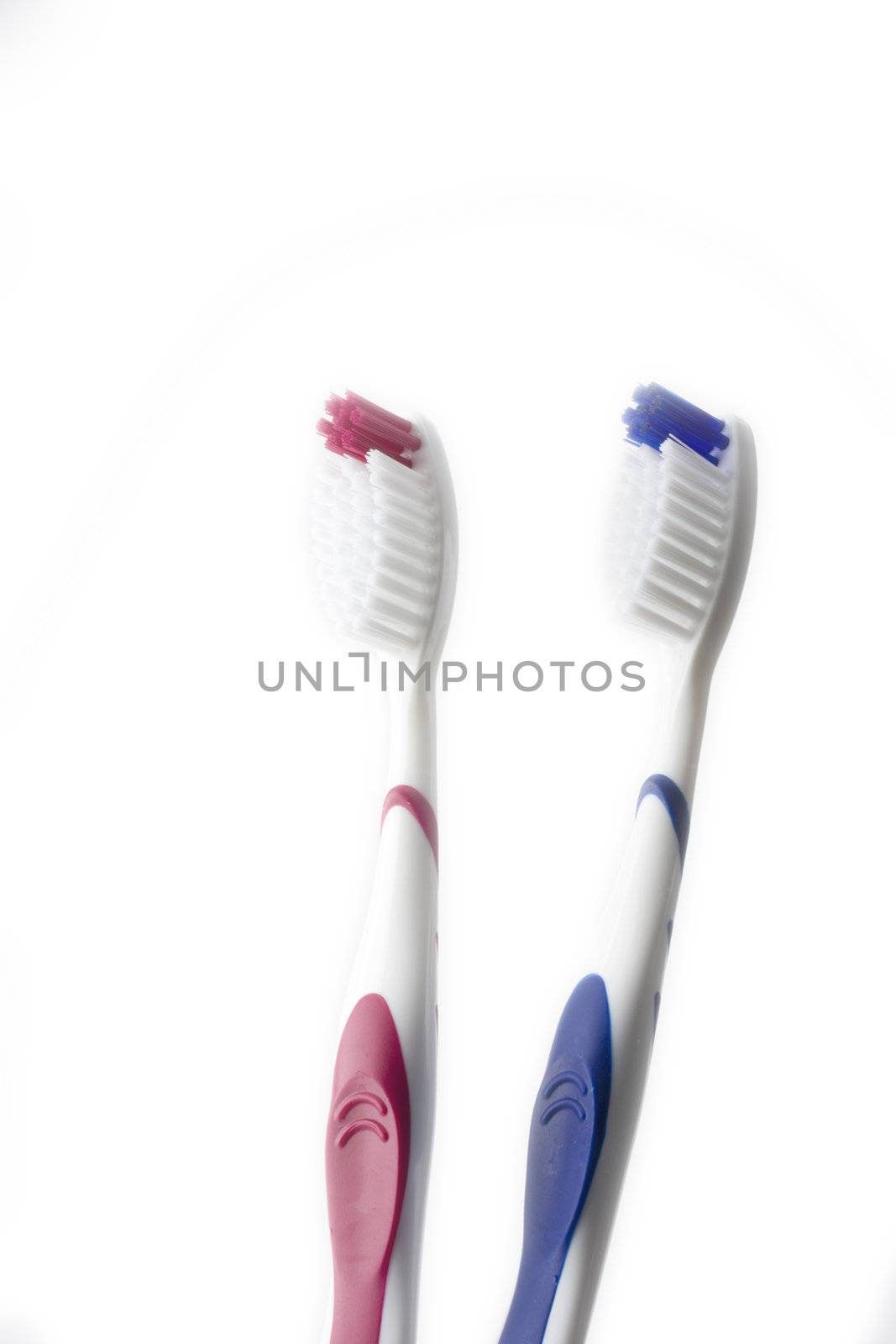 toothbrush isolated on white background by bernjuer