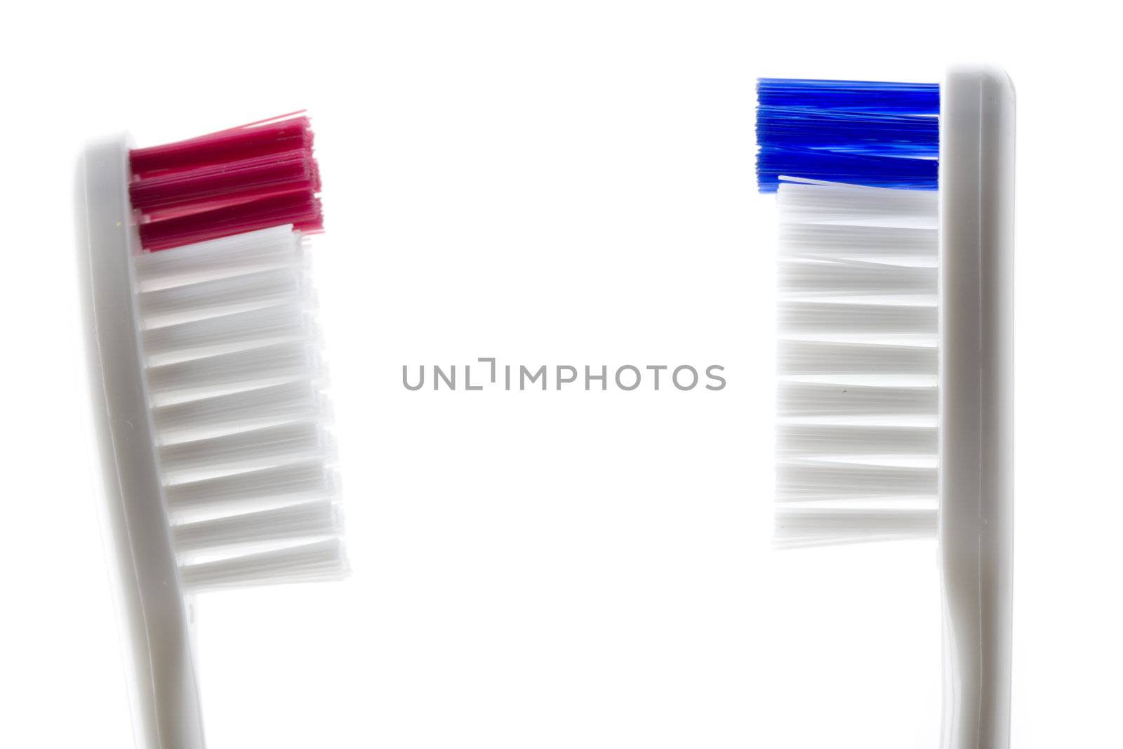 toothbrush isolated on white background by bernjuer