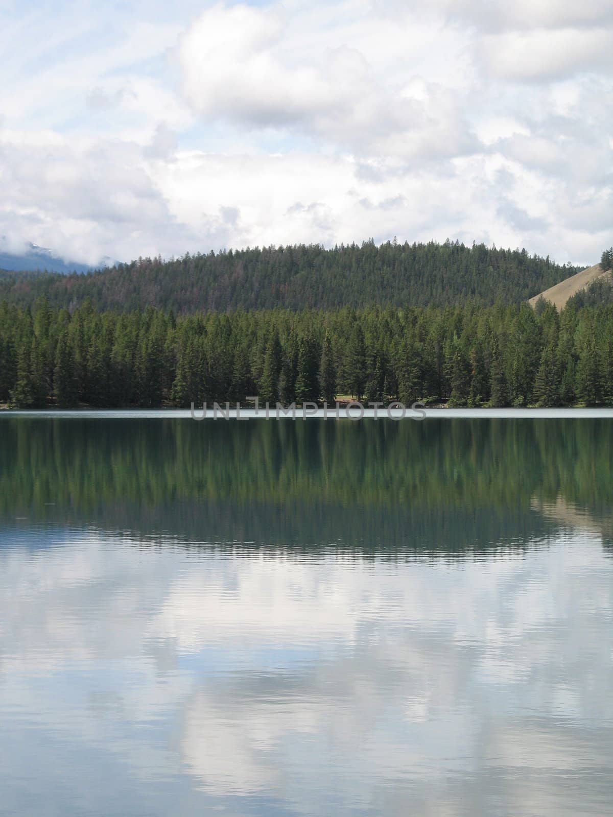 lake and forest view