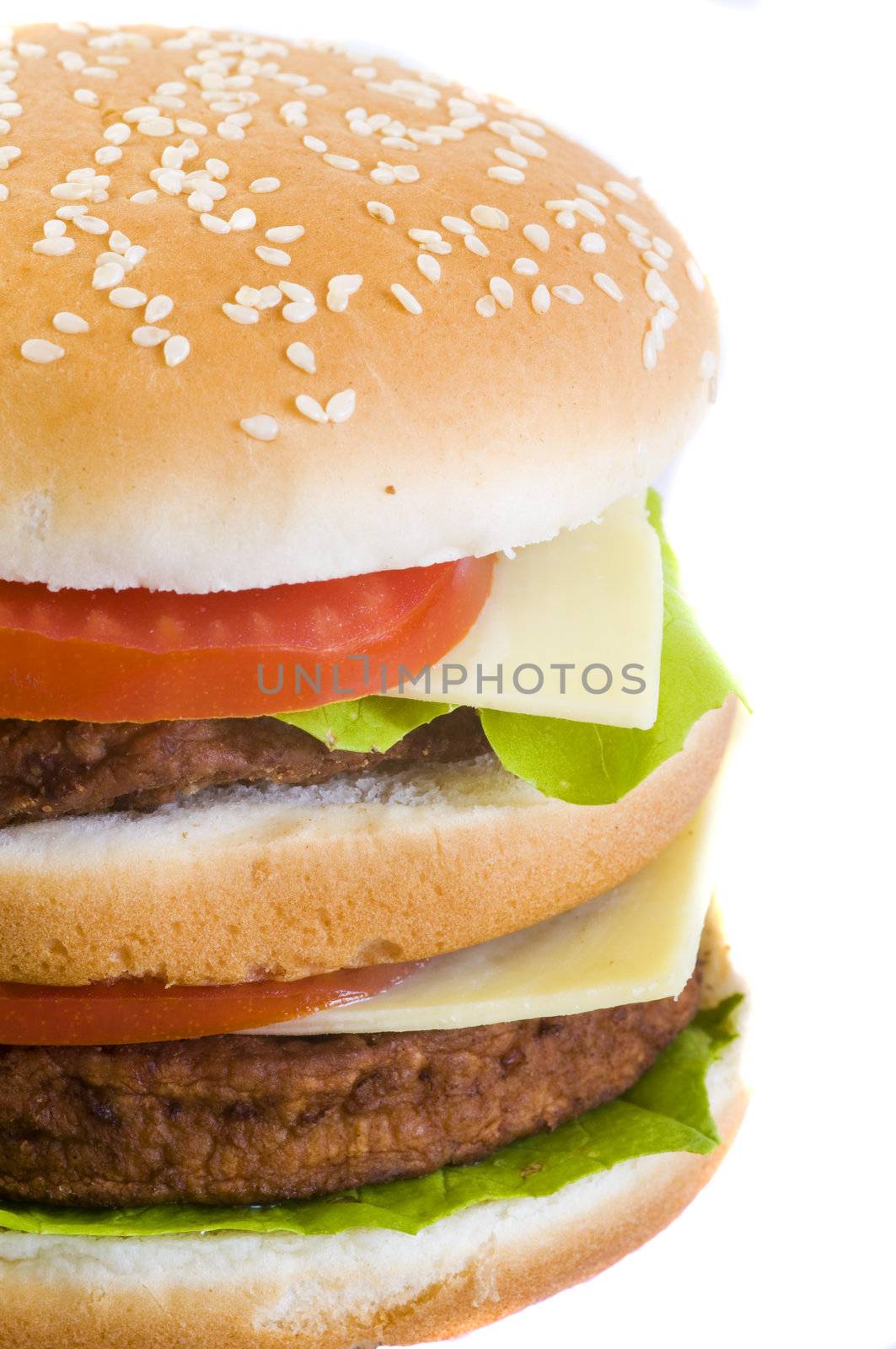 closeup on a huge double cheeseburger