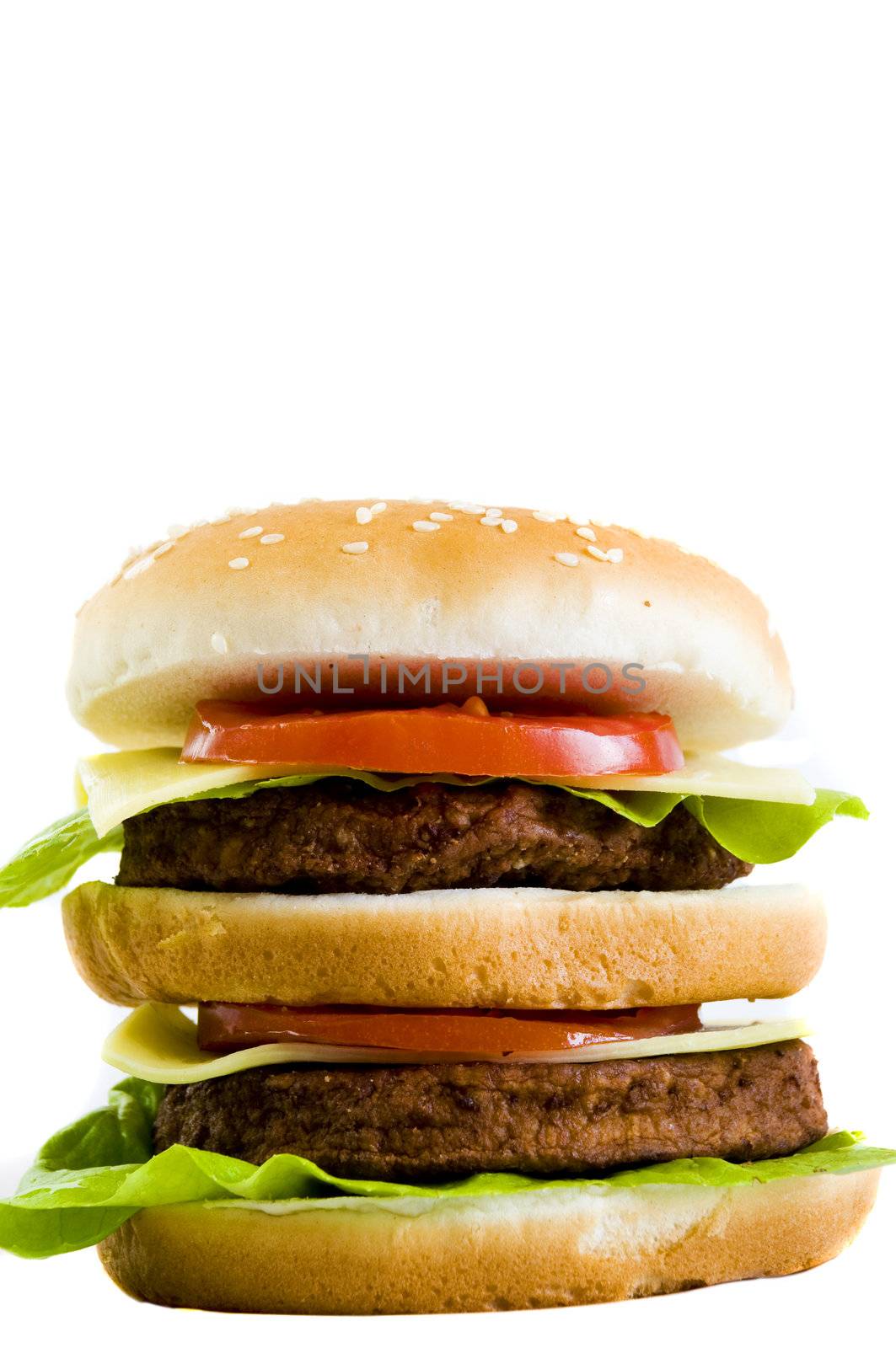 huge double cheeseburger, on white background