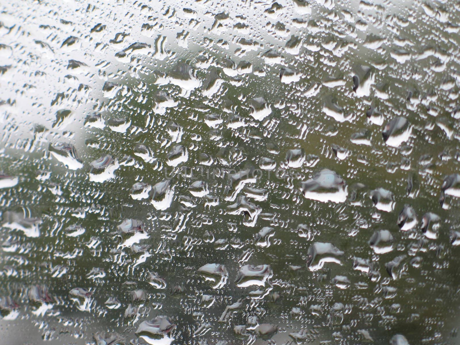 rain drops in a window