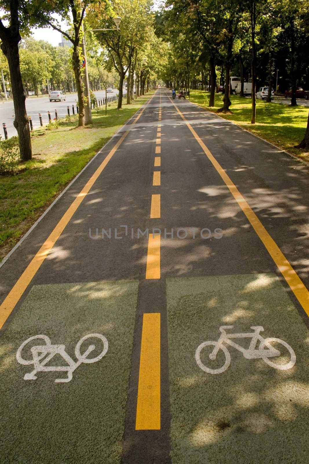 City bike lane along shady wooden street