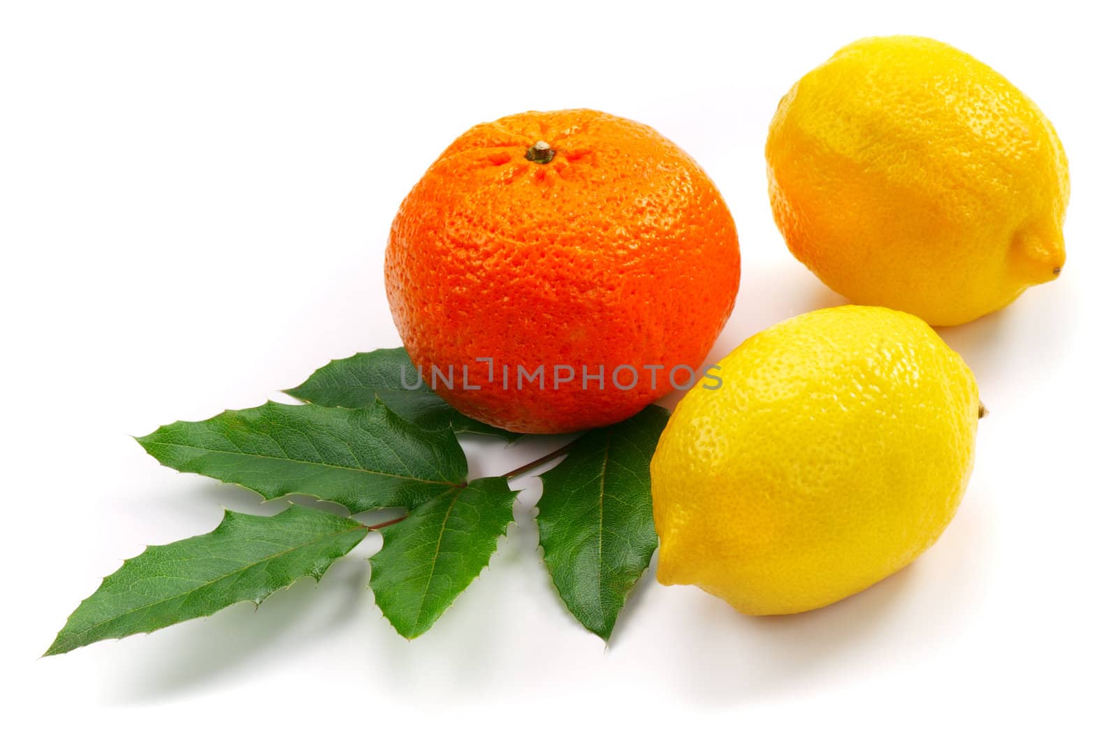 Two fresh yellow lemon and tangerine with green leaves on white background. Close up