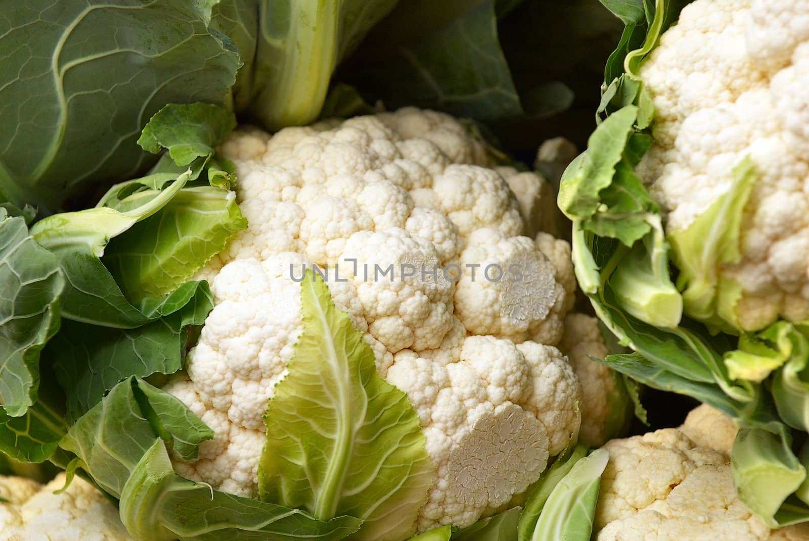 Cauliflower on a counter of street shop