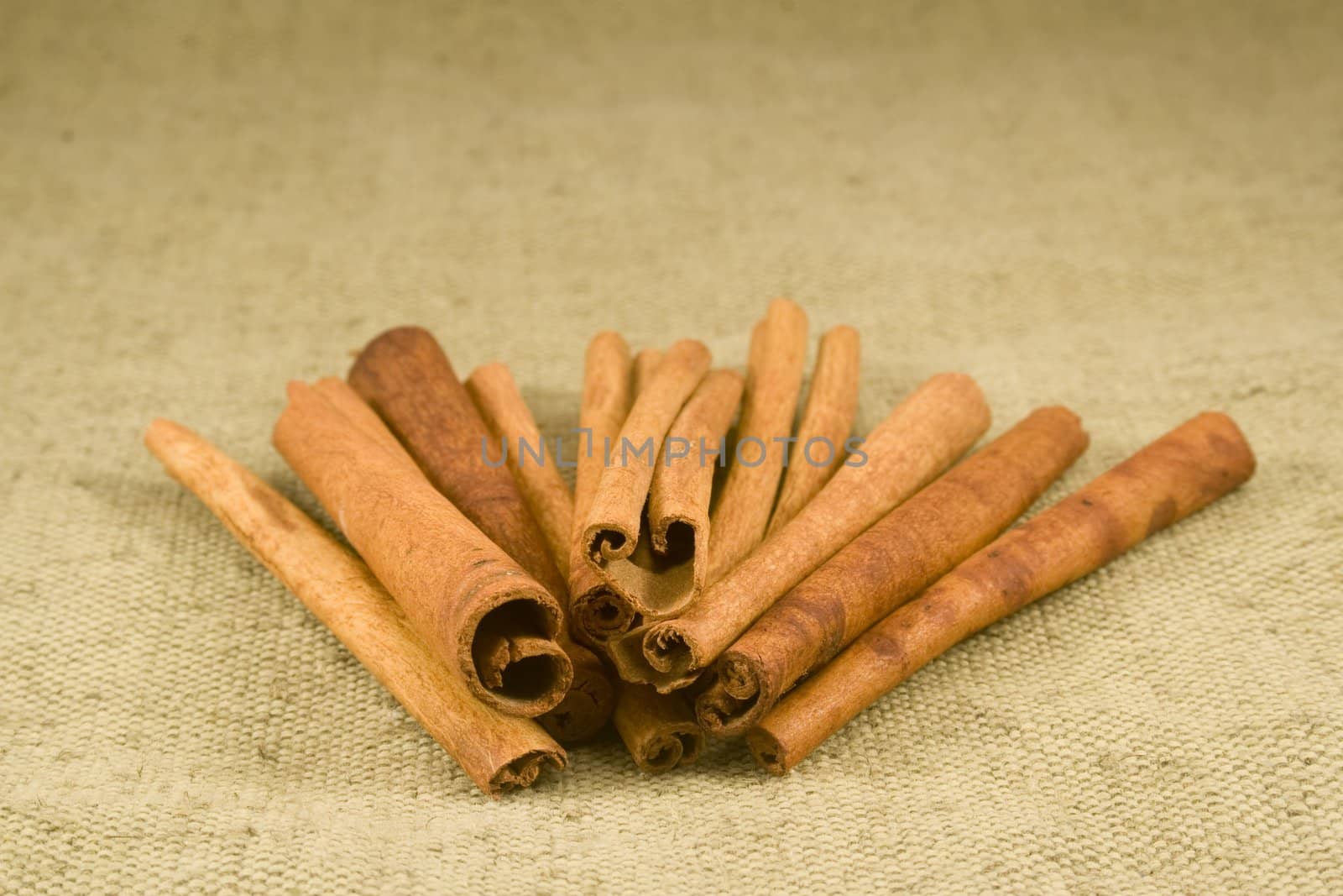 Cinnamon sticks on burlap