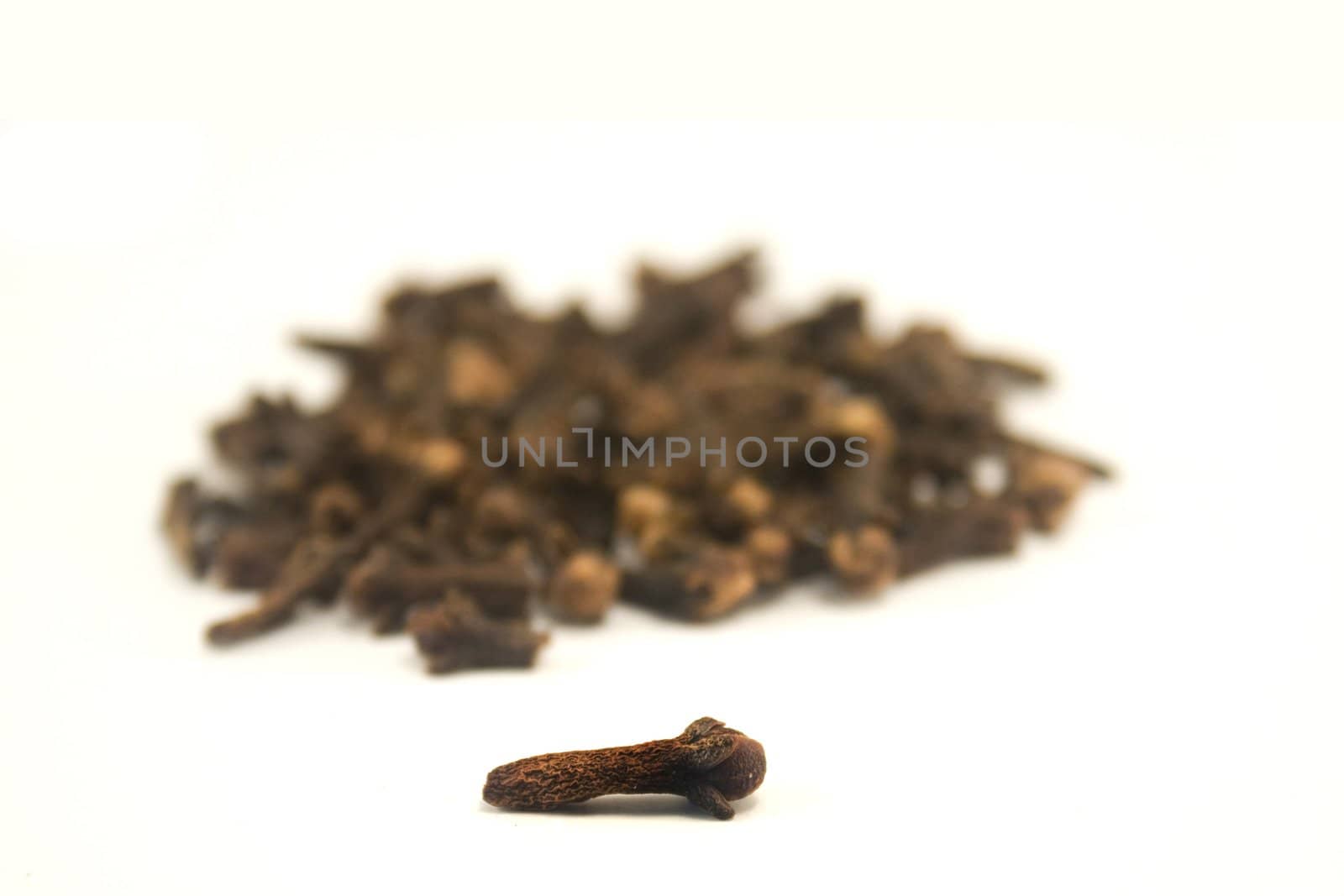 Cloves by timscottrom