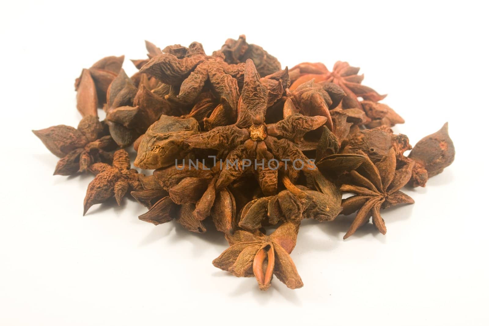 Star anise by timscottrom