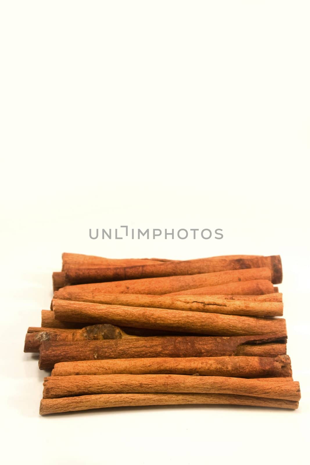 Cinnamon by timscottrom
