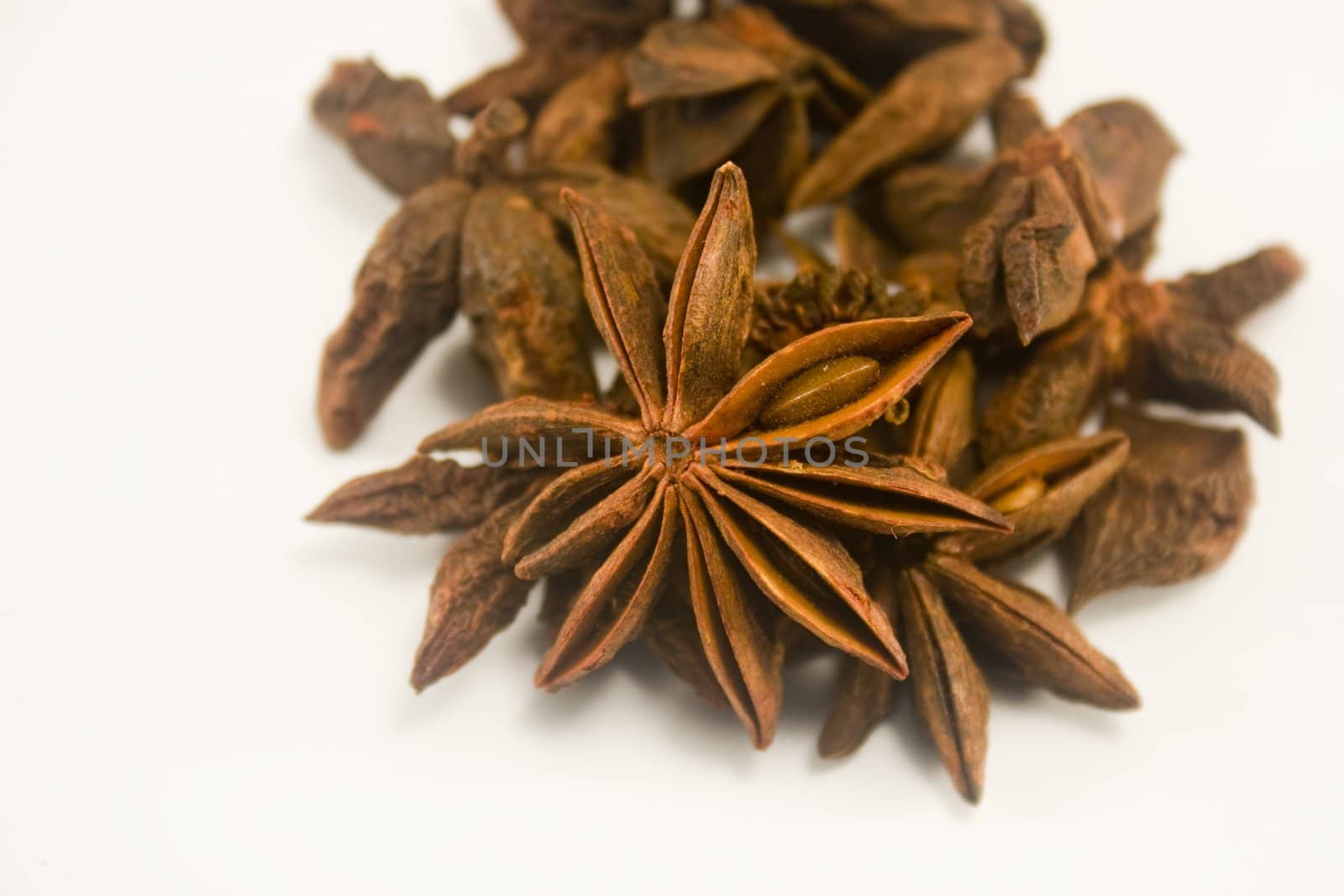 Star anise by timscottrom