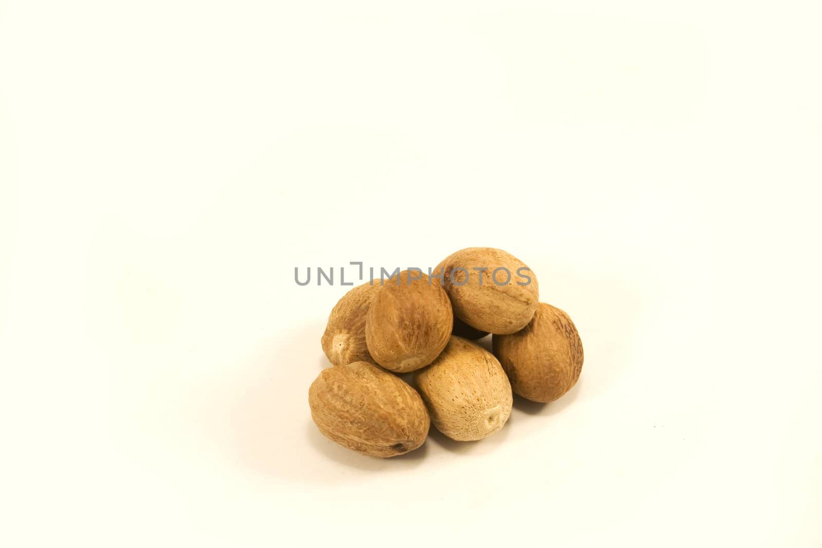 Nutmeg by timscottrom