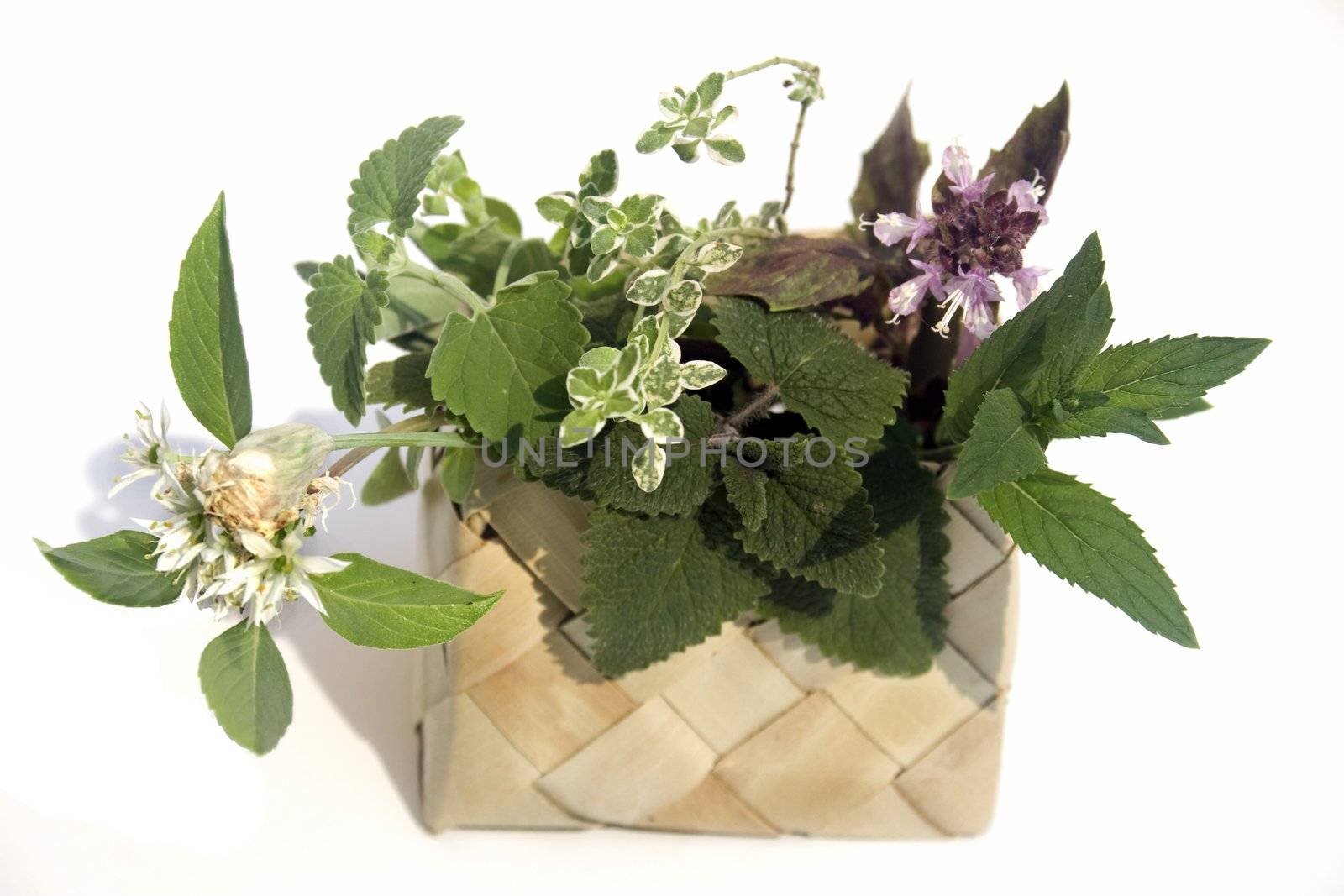 Fresh herbs in basket by timscottrom