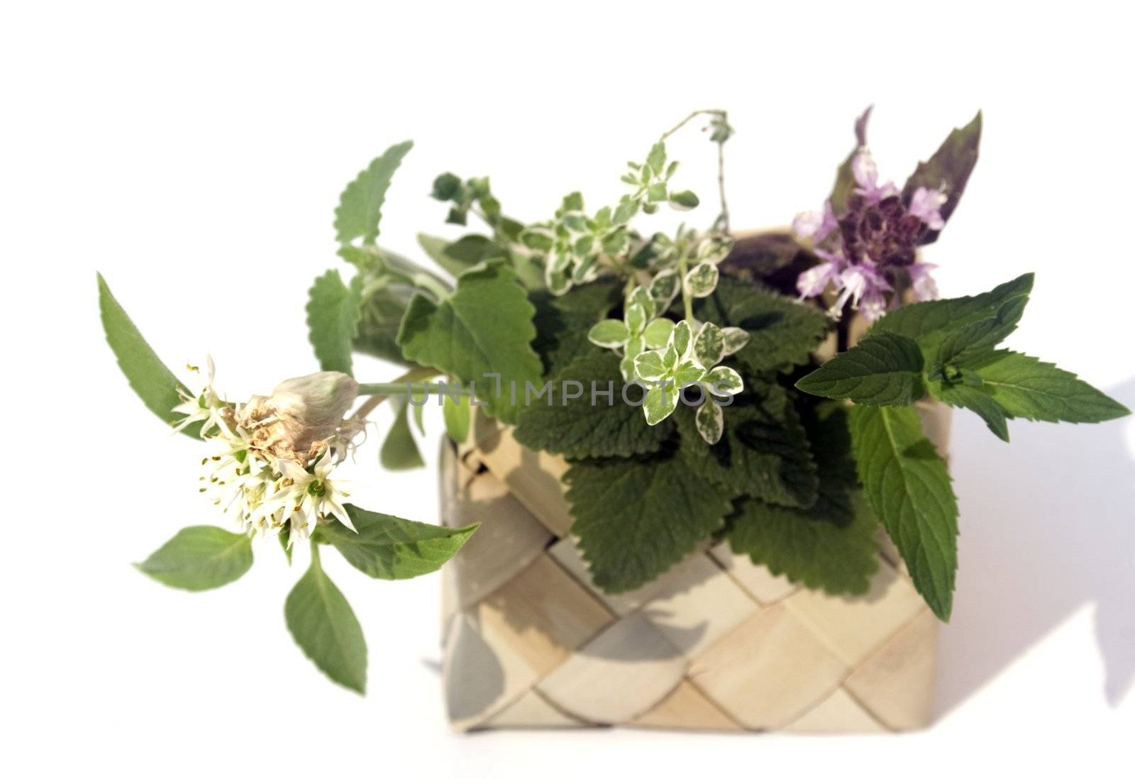Fresh herbs in basket by timscottrom