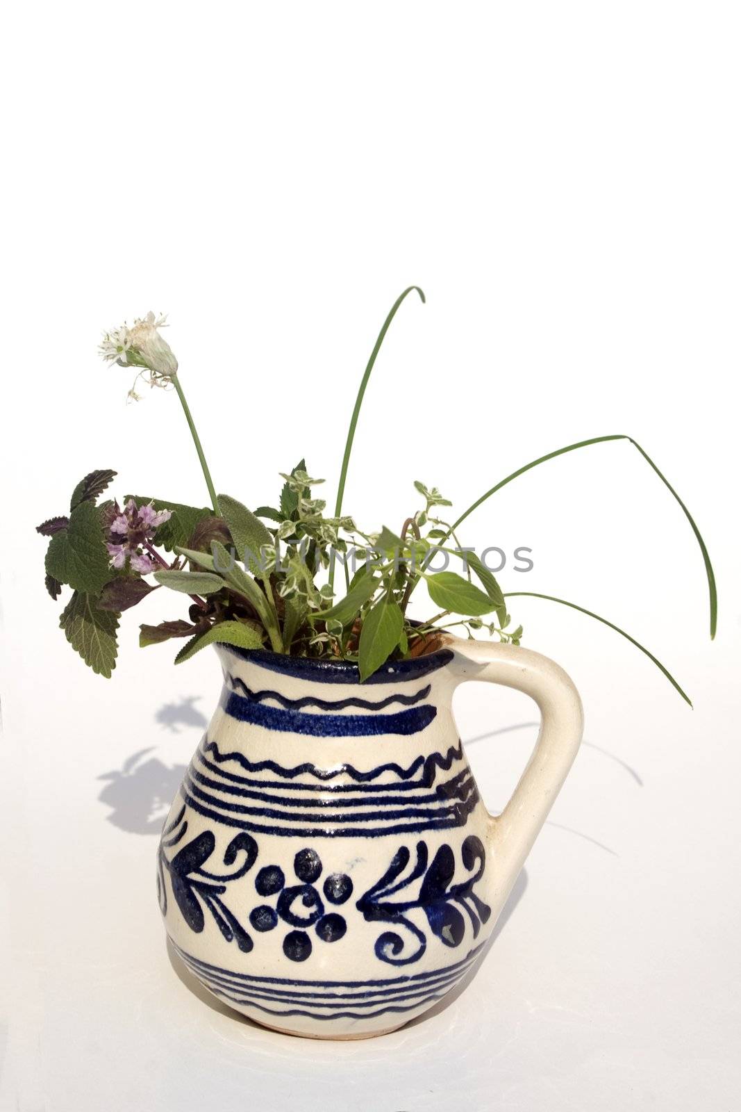 Fresh herbs in vase by timscottrom
