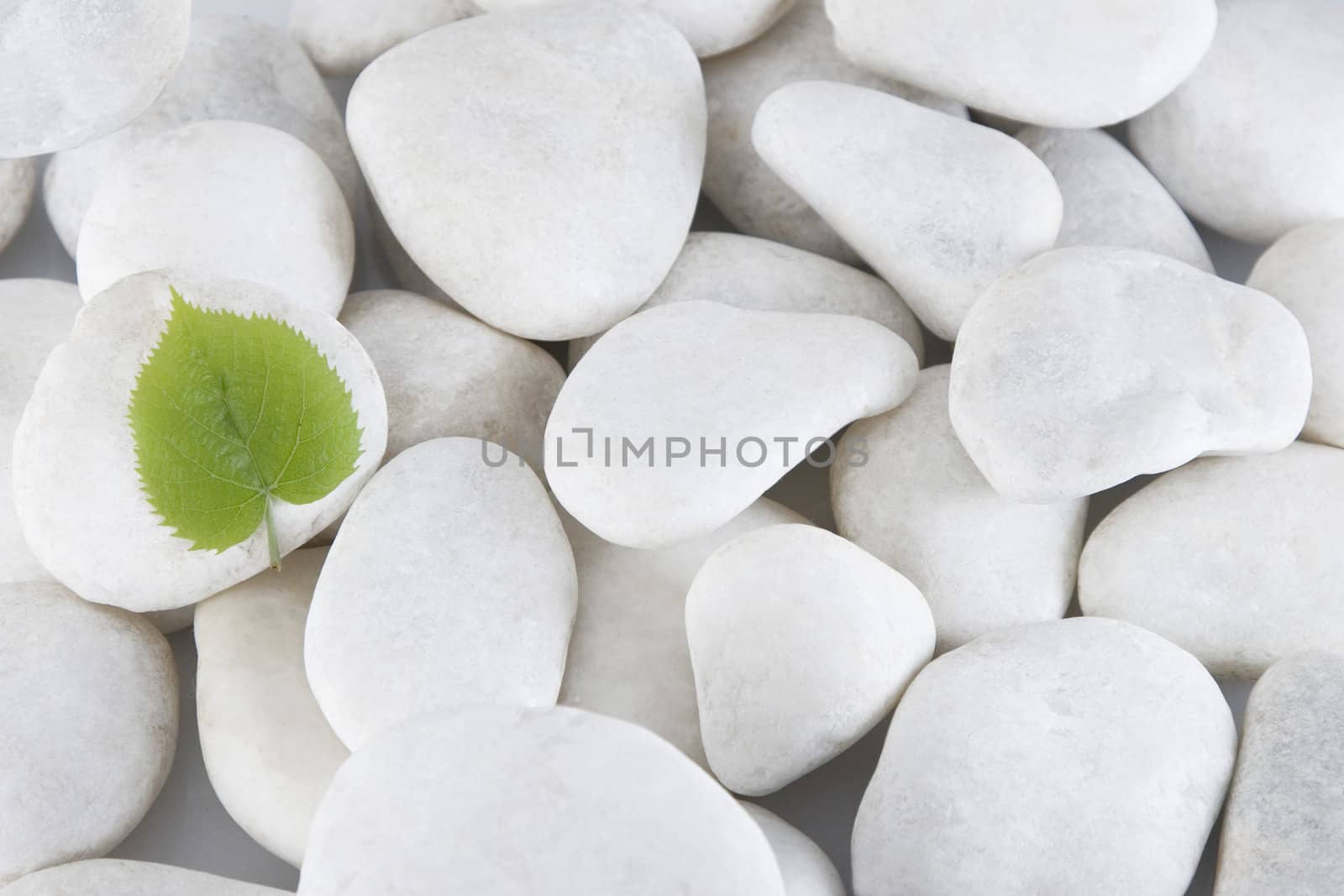 front view white stones and green leaf