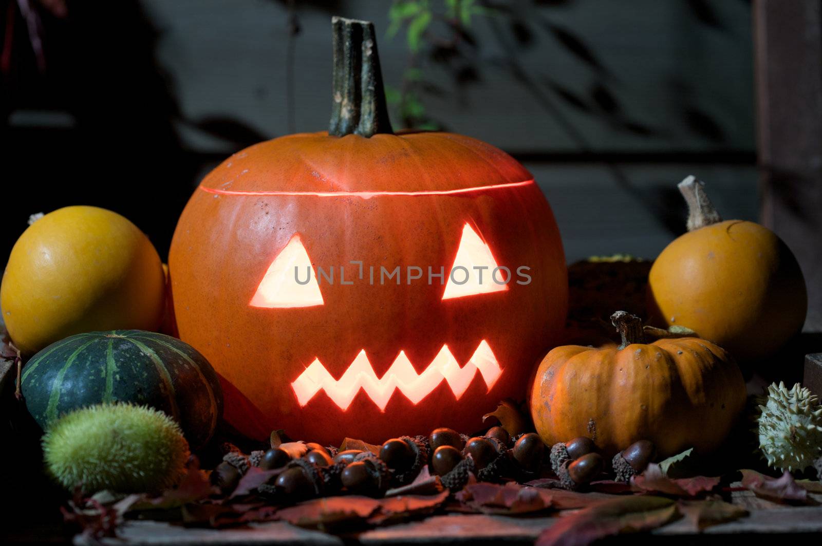 Halloween pumpkin by Fotosmurf