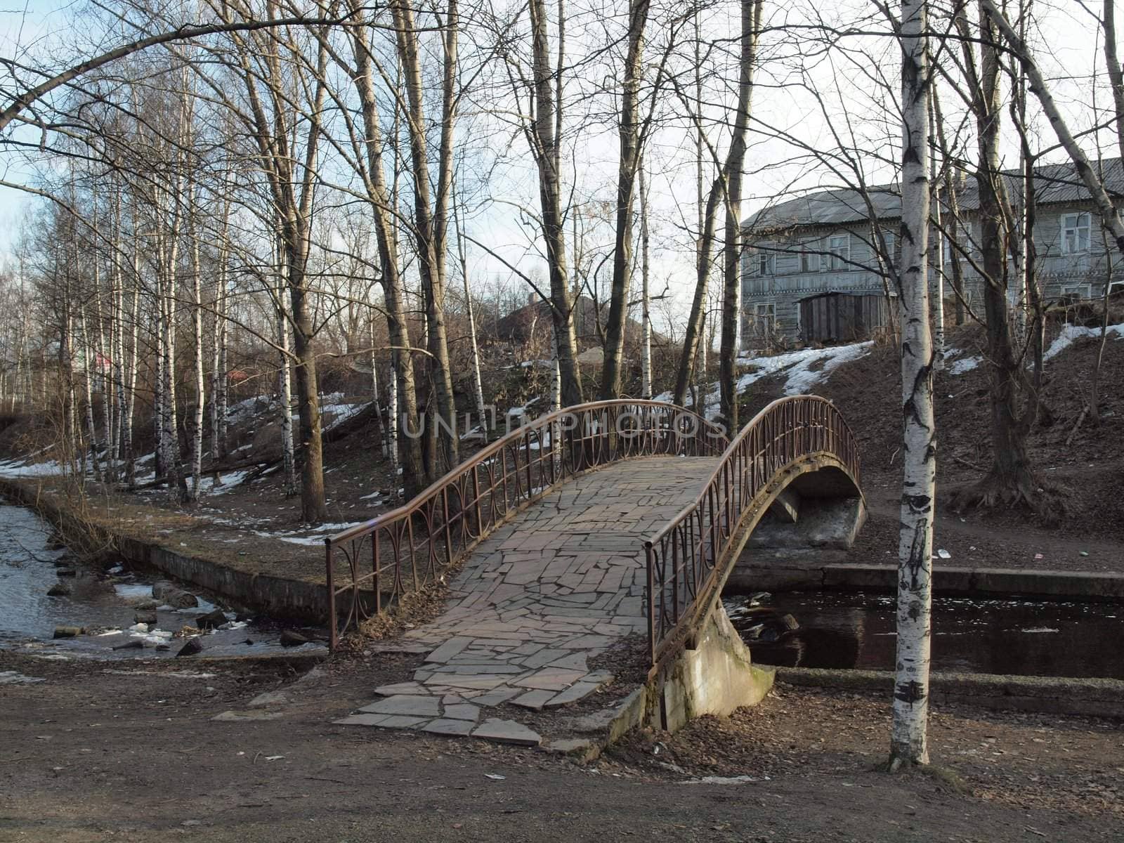 The bridge in park. Petrozavodsk, Russia.