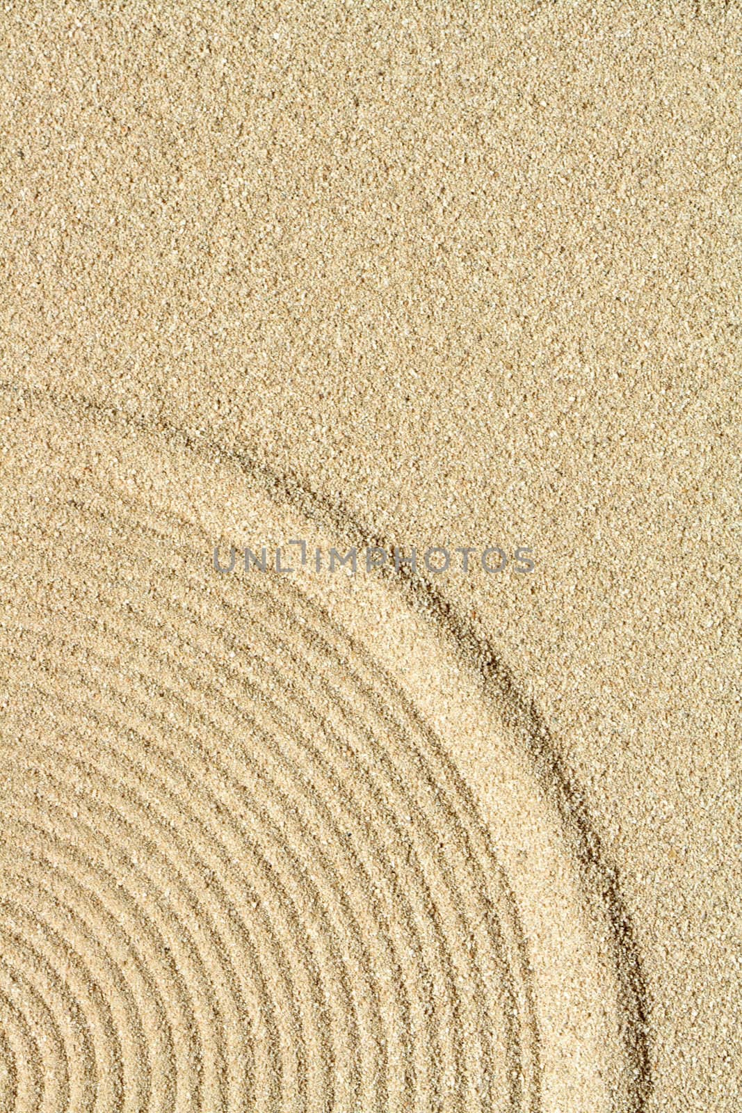 Abstract yellow sand background with drawing rings