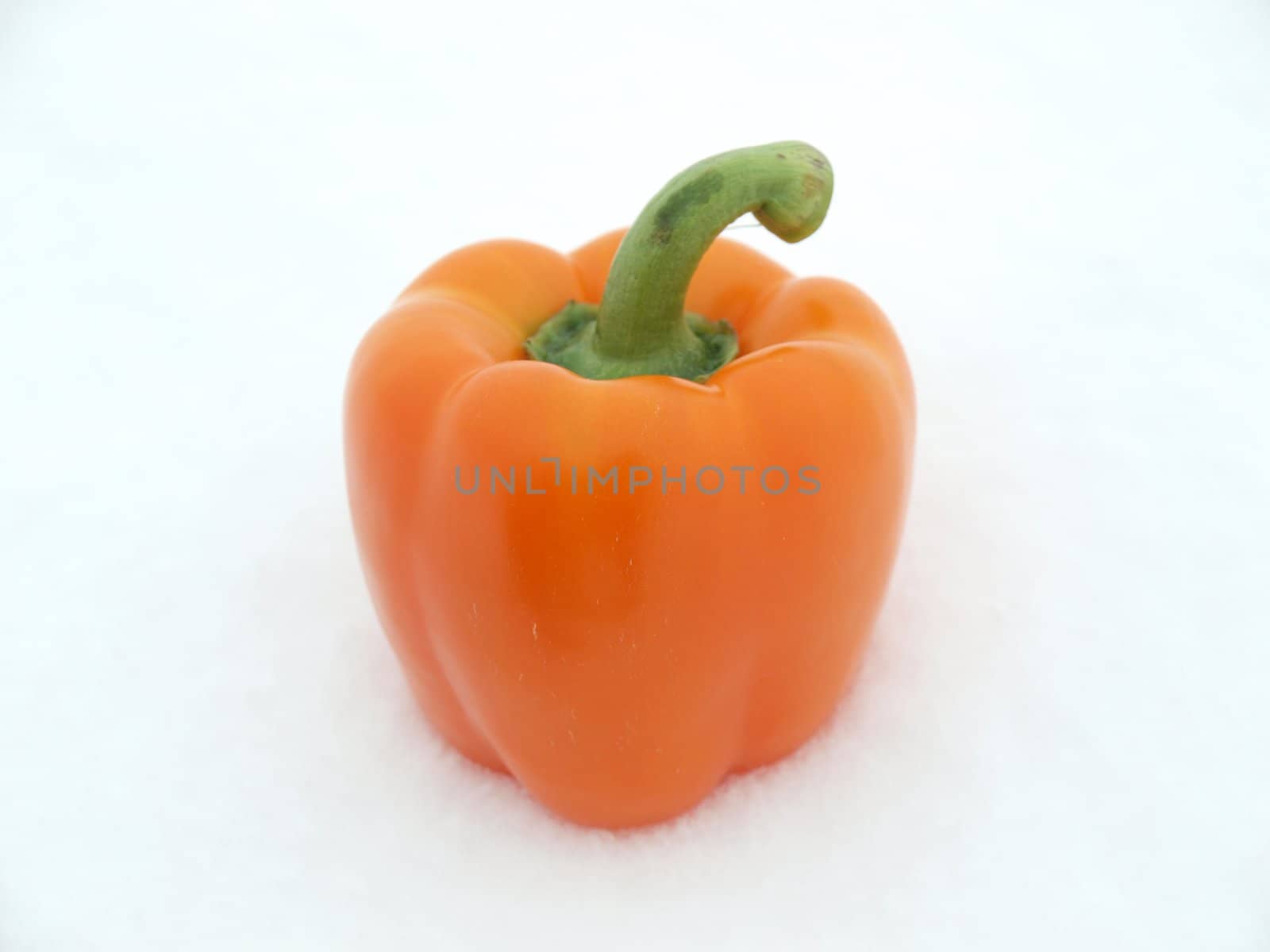 Orange pepper on a snow     