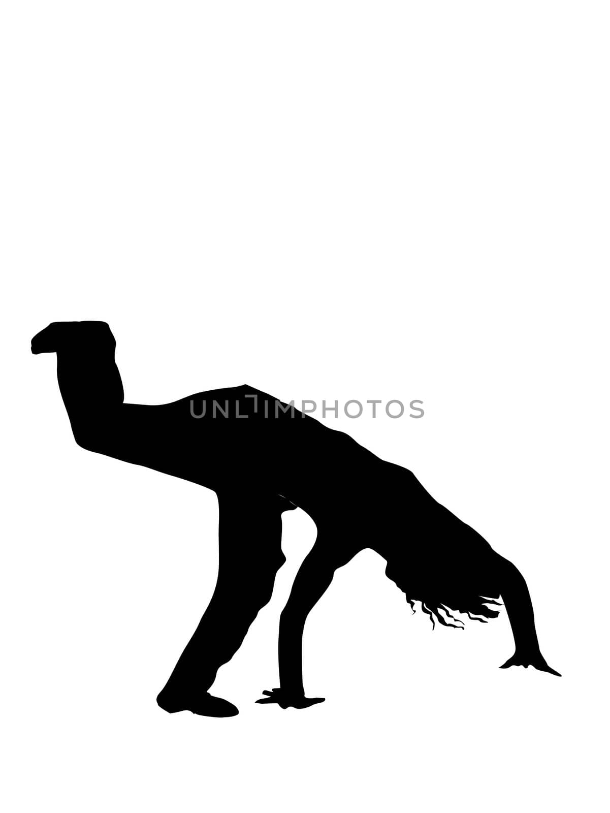 man doing  handstand on white background