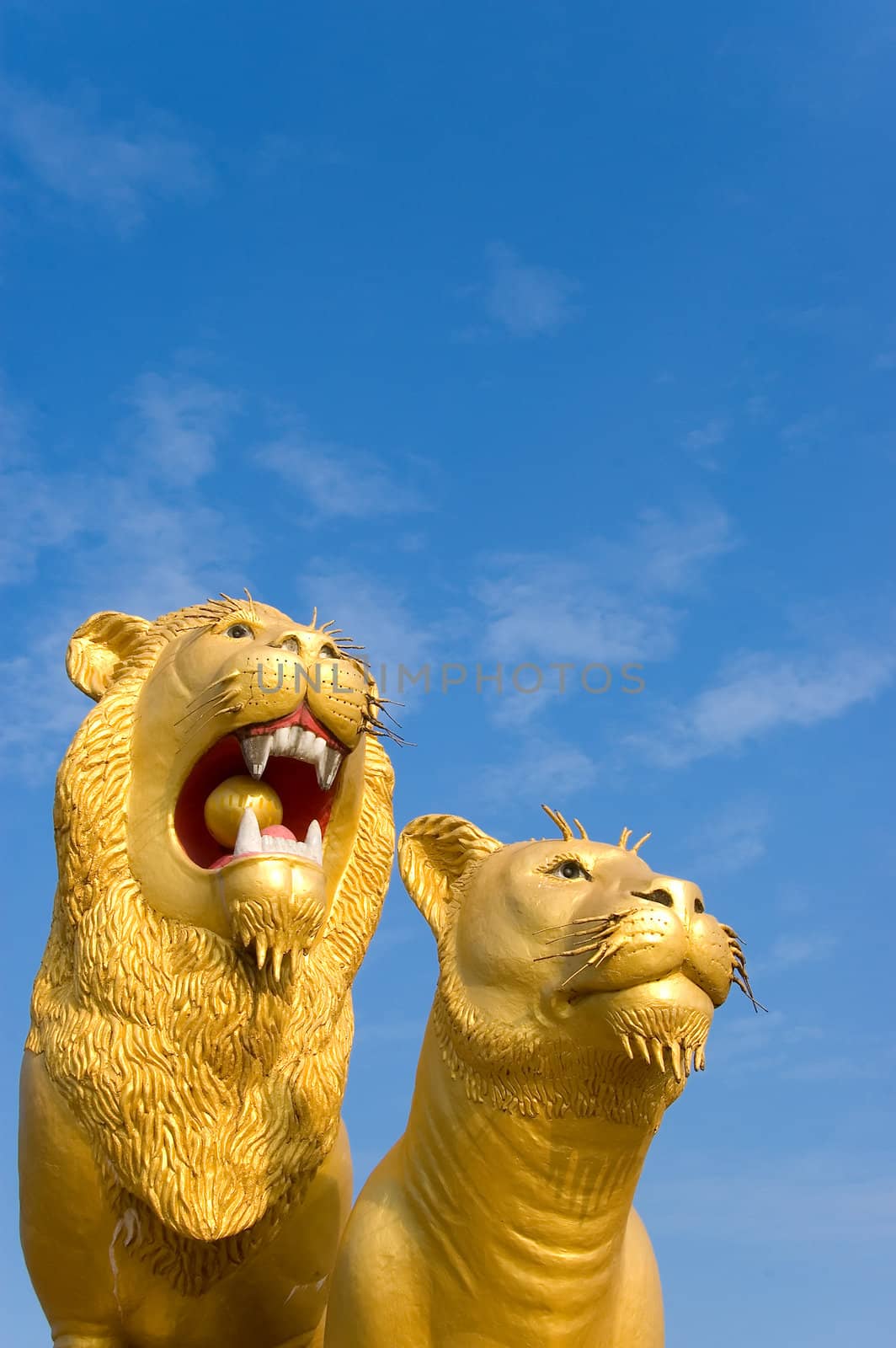 golden lions by jsompinm