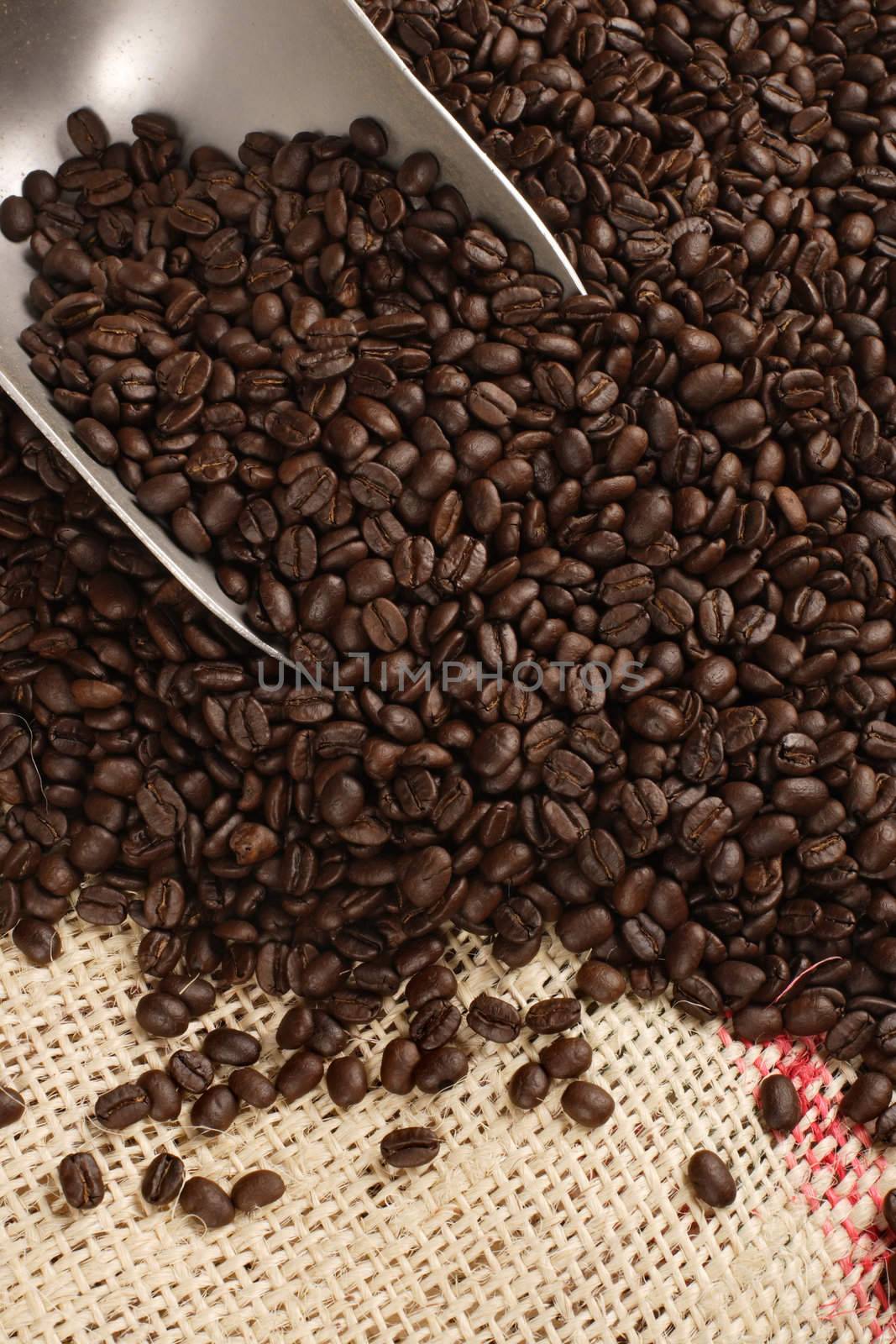 Background image of roasted coffee beans and metal scoop from a canvas sack.