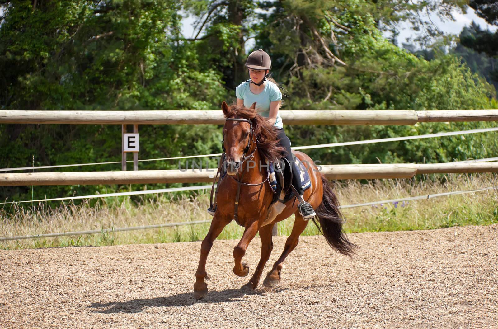 This image shows a portrait from a riding girl