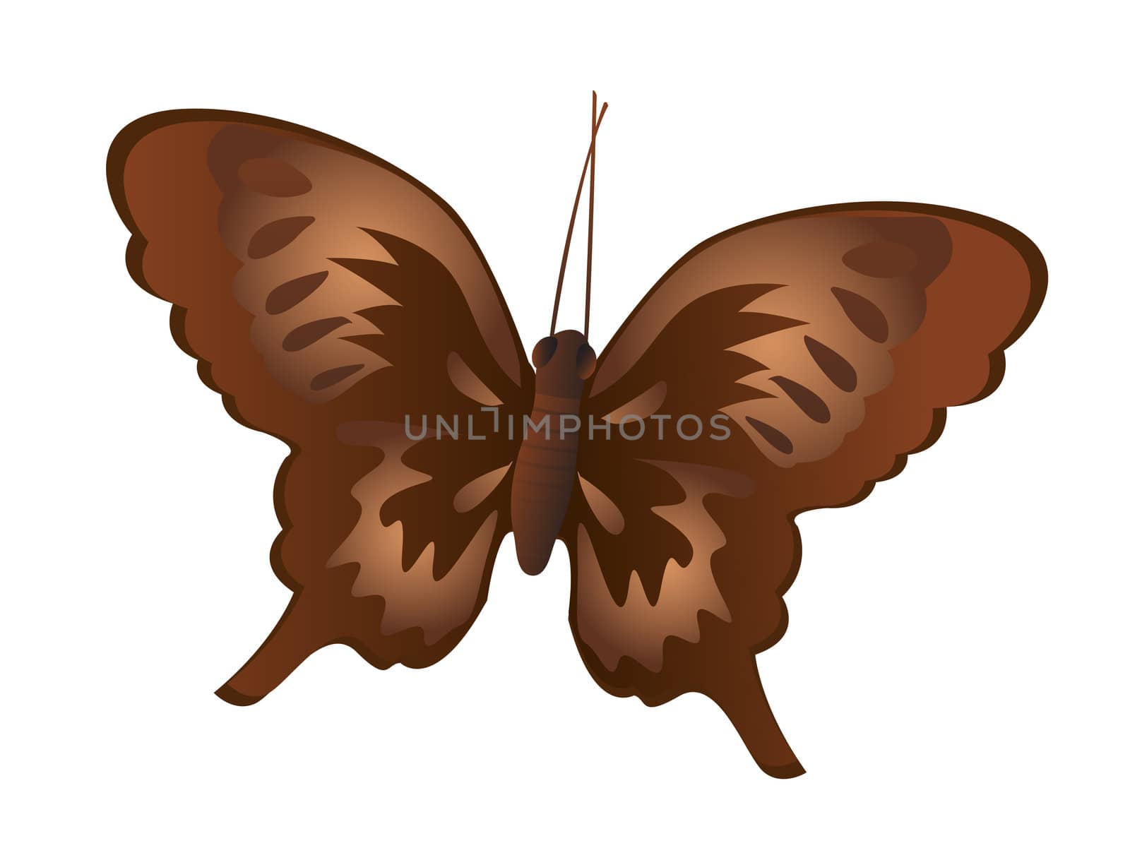 sparkled decorated butterfly on white background