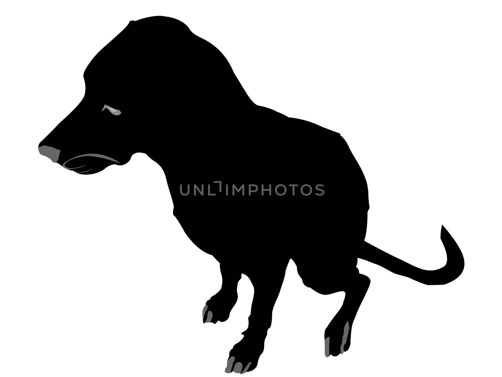 obedient dog isolated on white background   