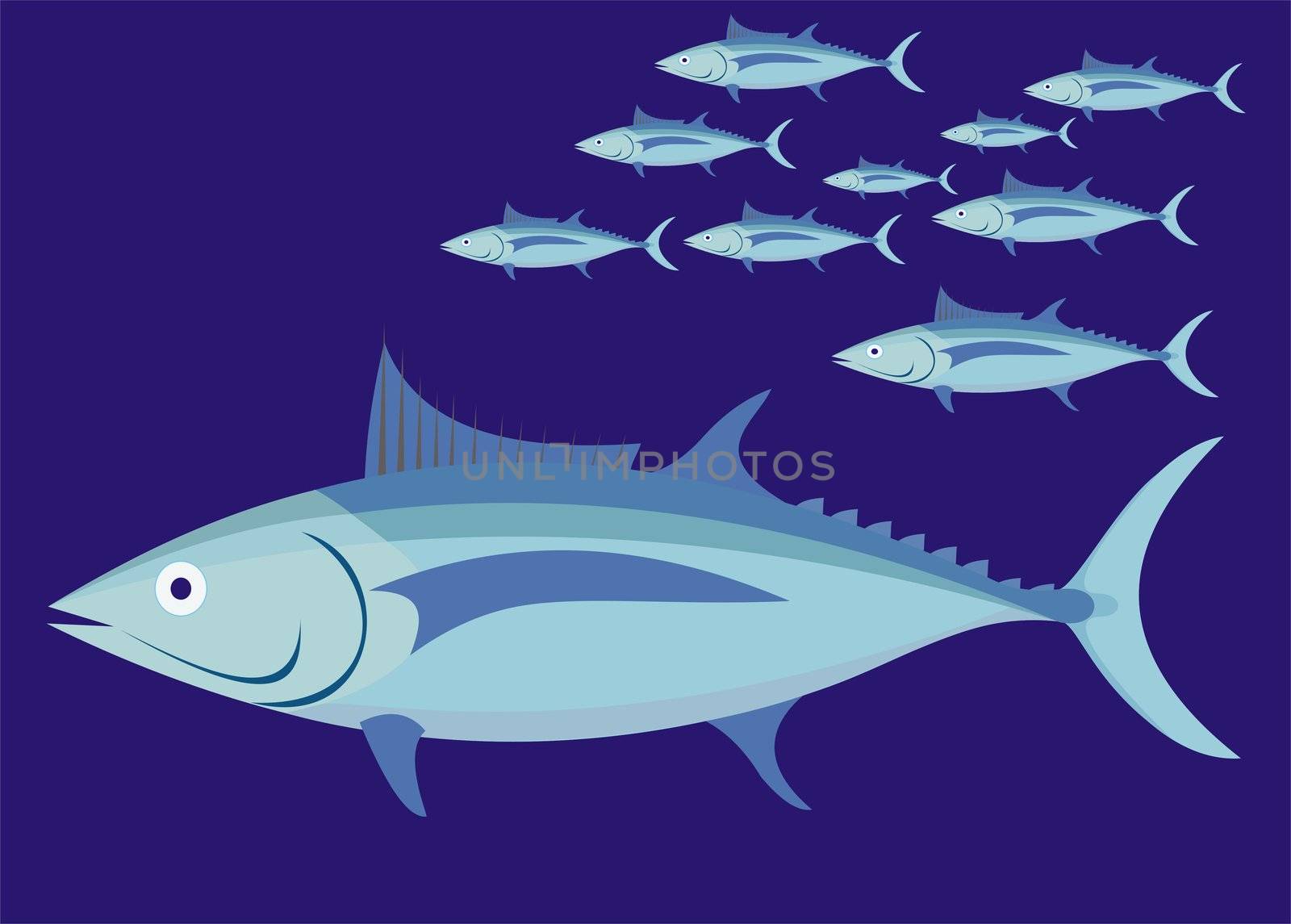 Tuna Fish by brigg