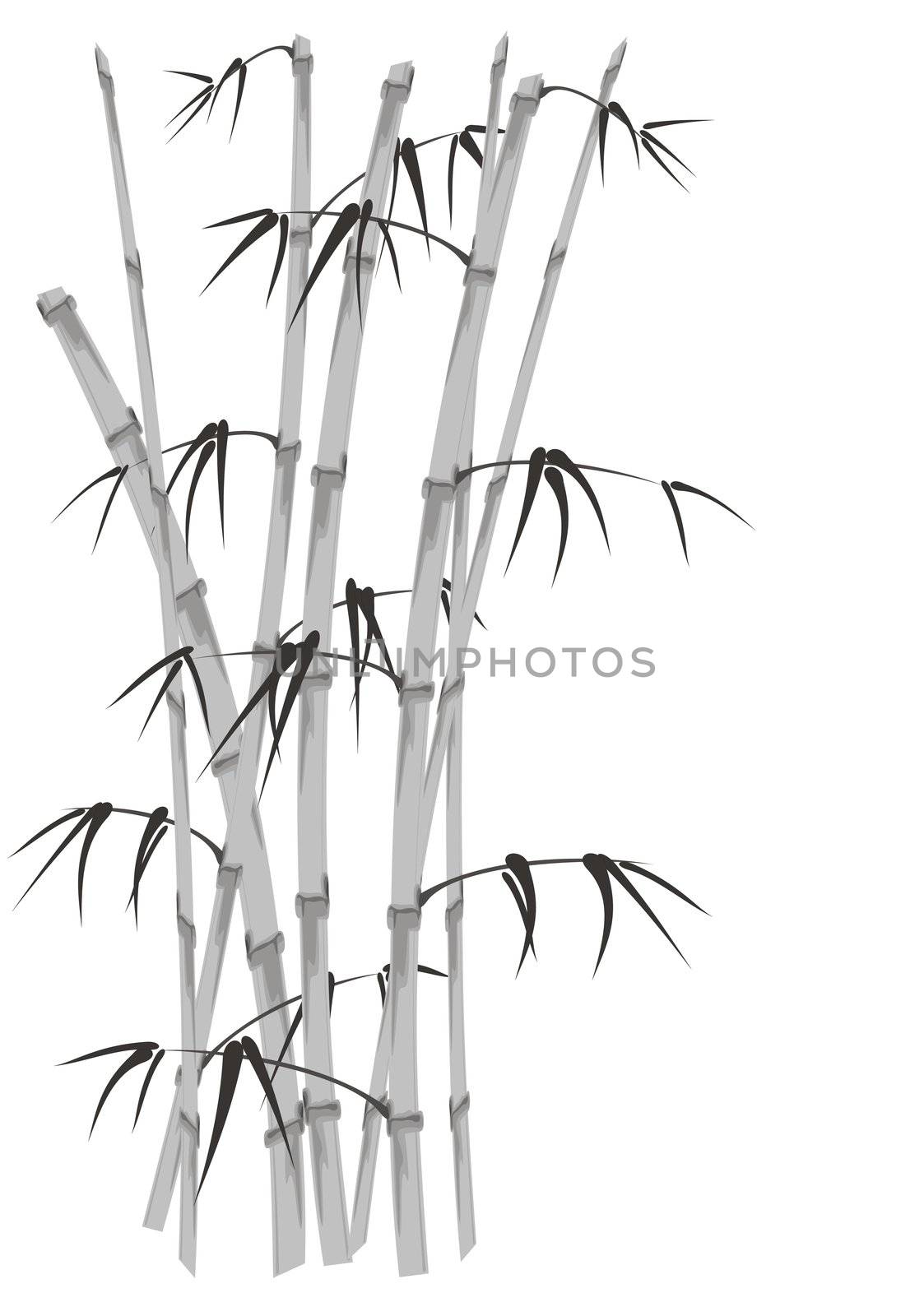 bamboo stalks by brigg