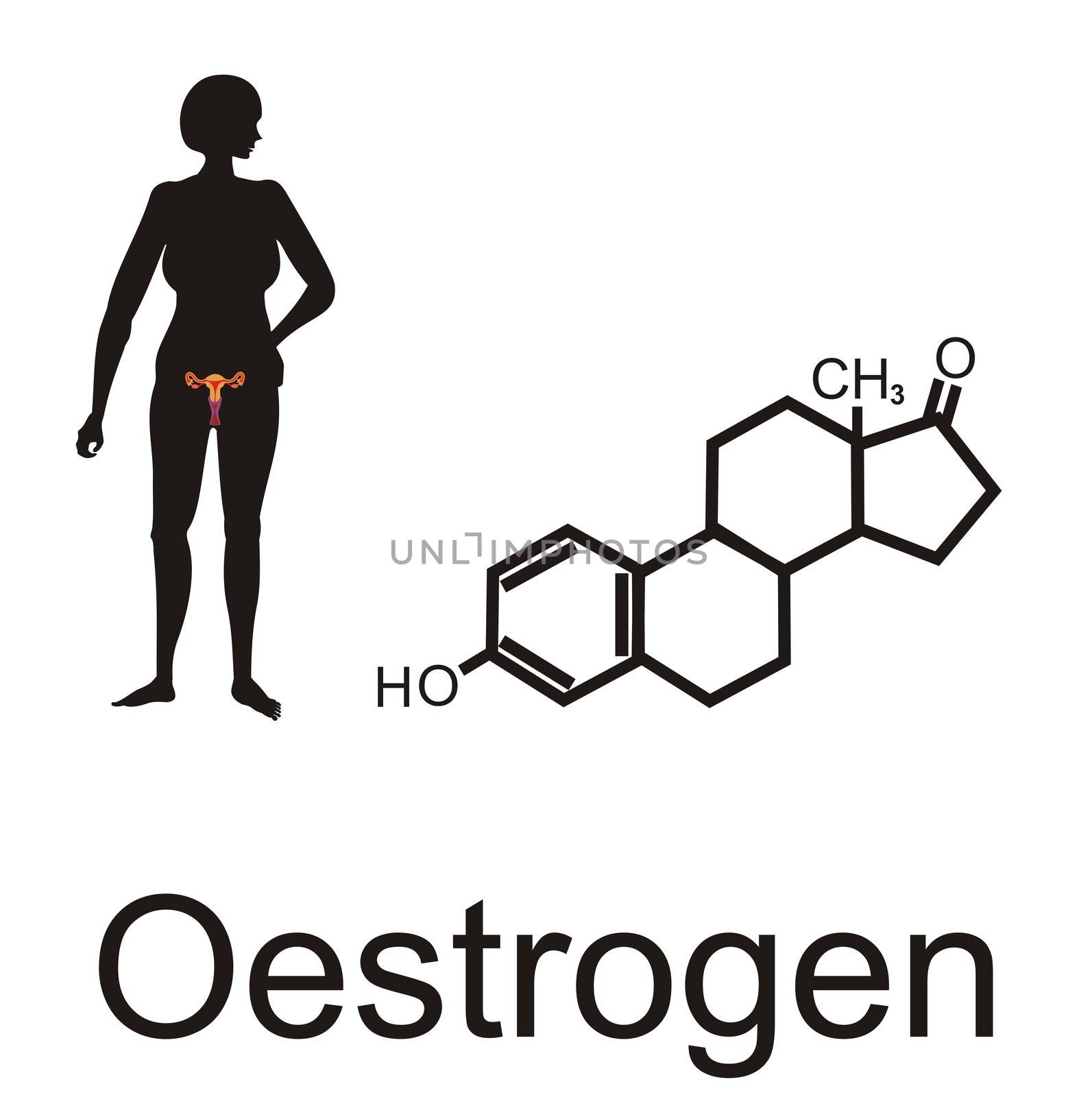 Female silhouette with reproductive organs and oestrogen formula