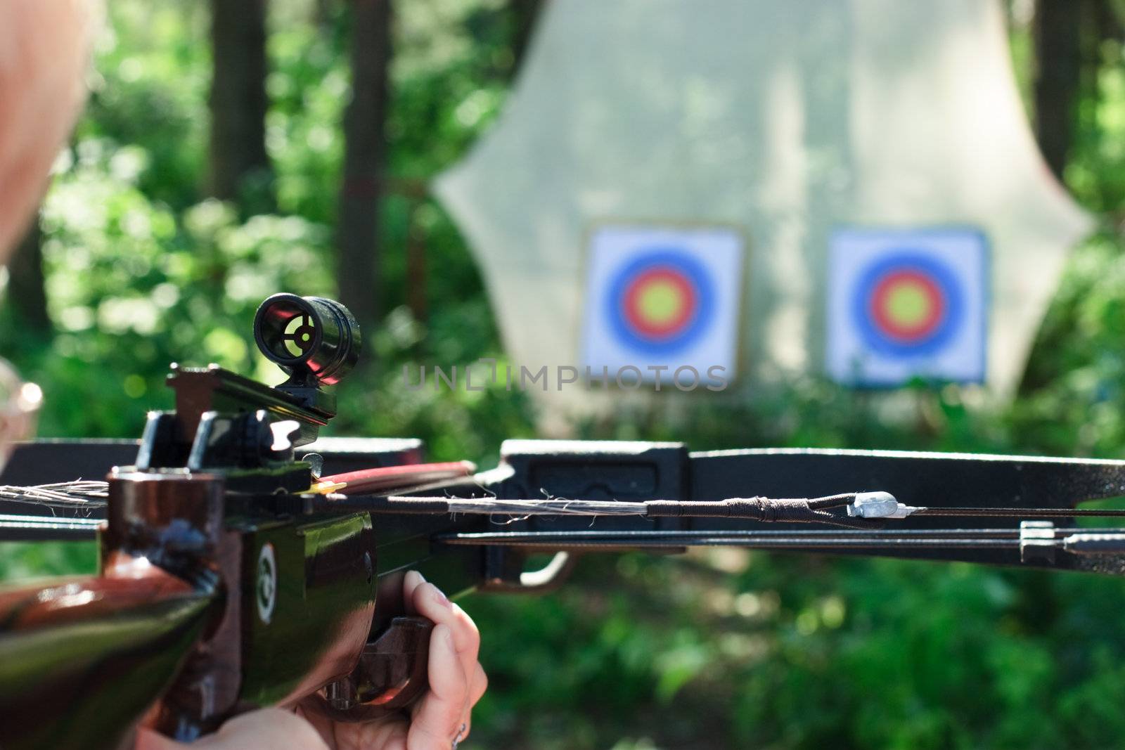 Man aiming crossbow at targets in summer forest