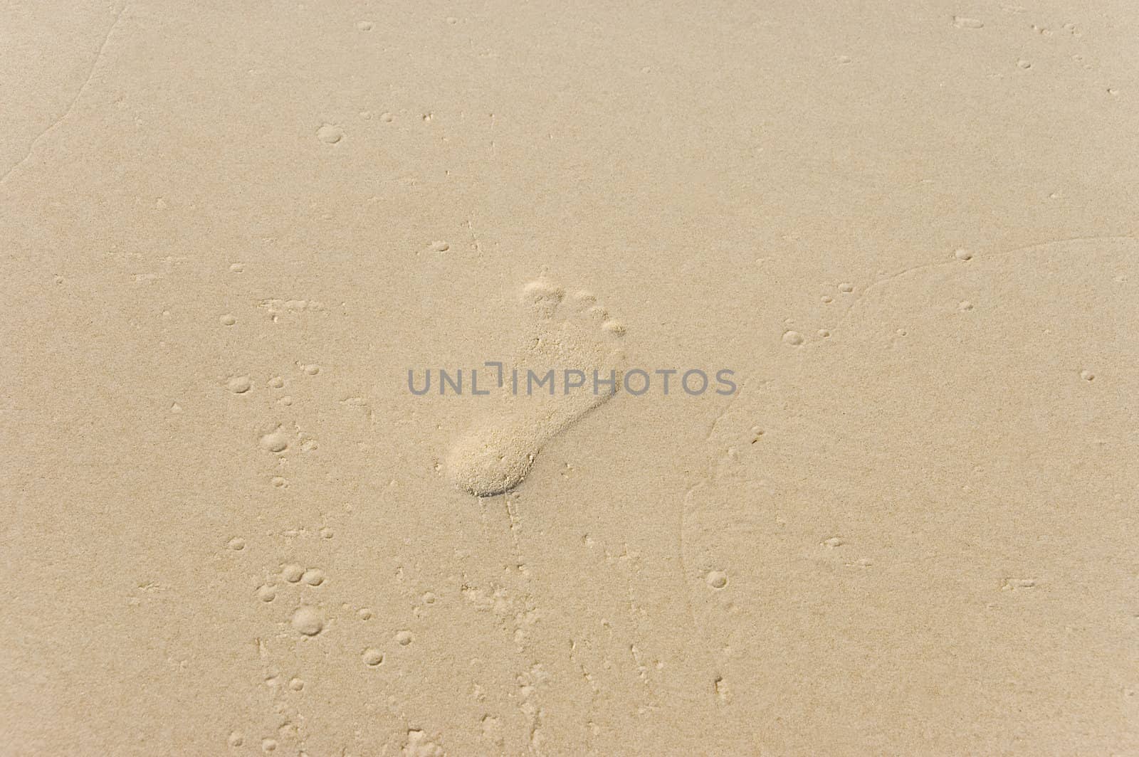 footprint on a beach