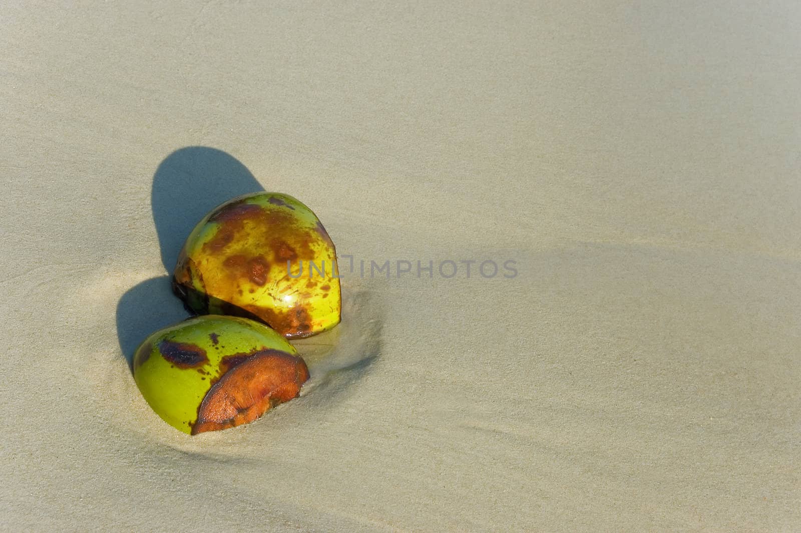 coconuts on beach