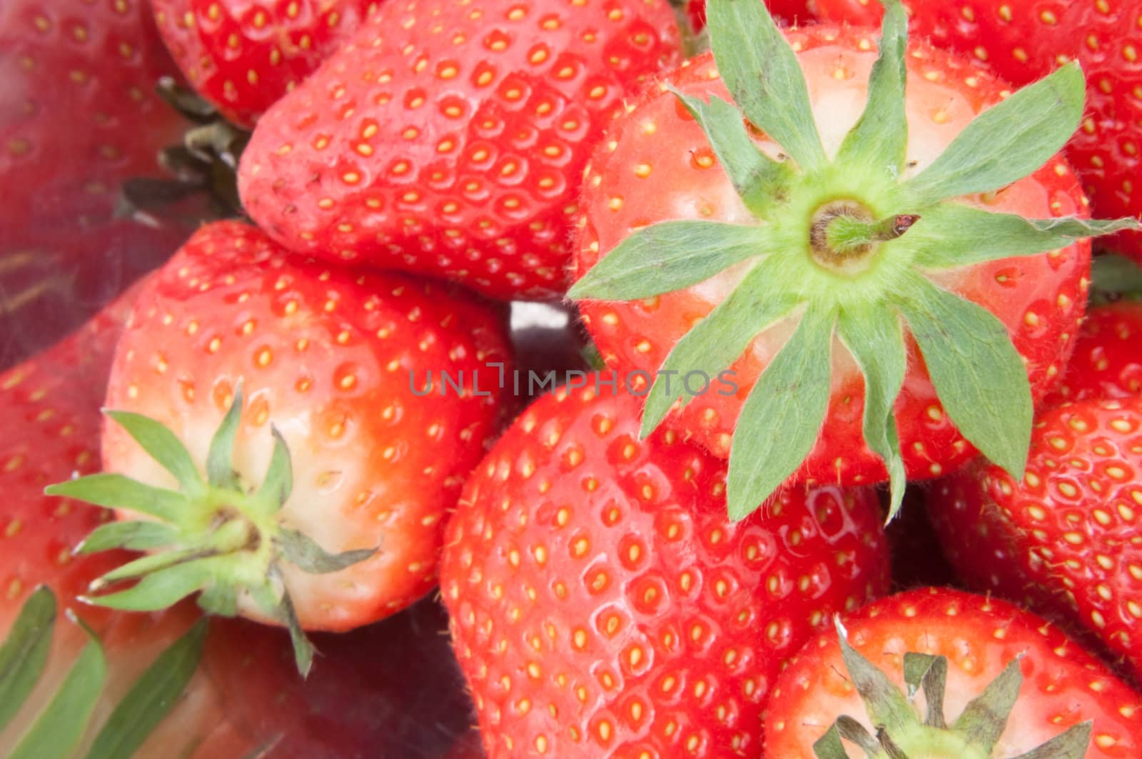 Close up of many fresh strawberries in a stainless steel bowl.